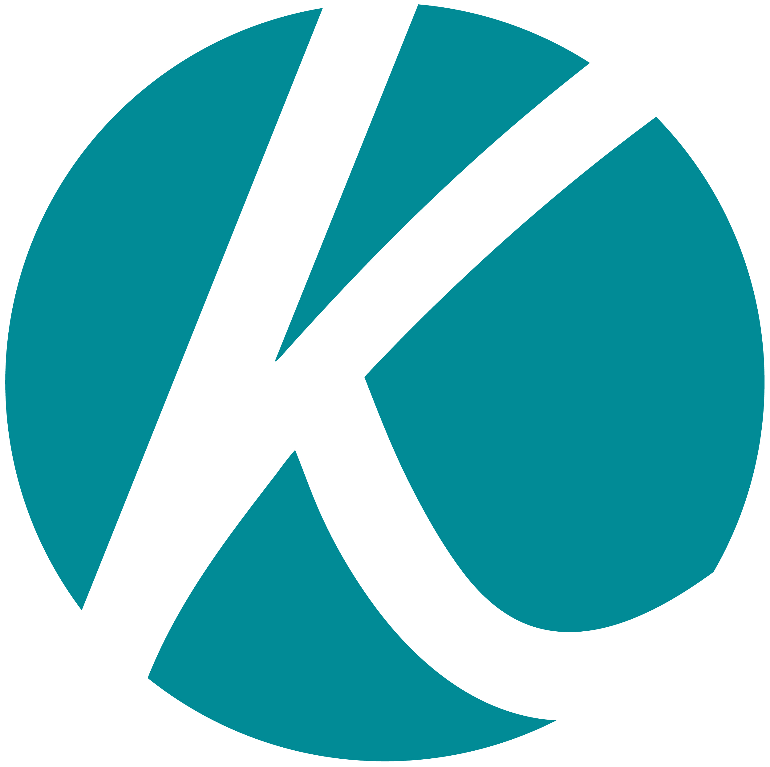 Kaufmann logo