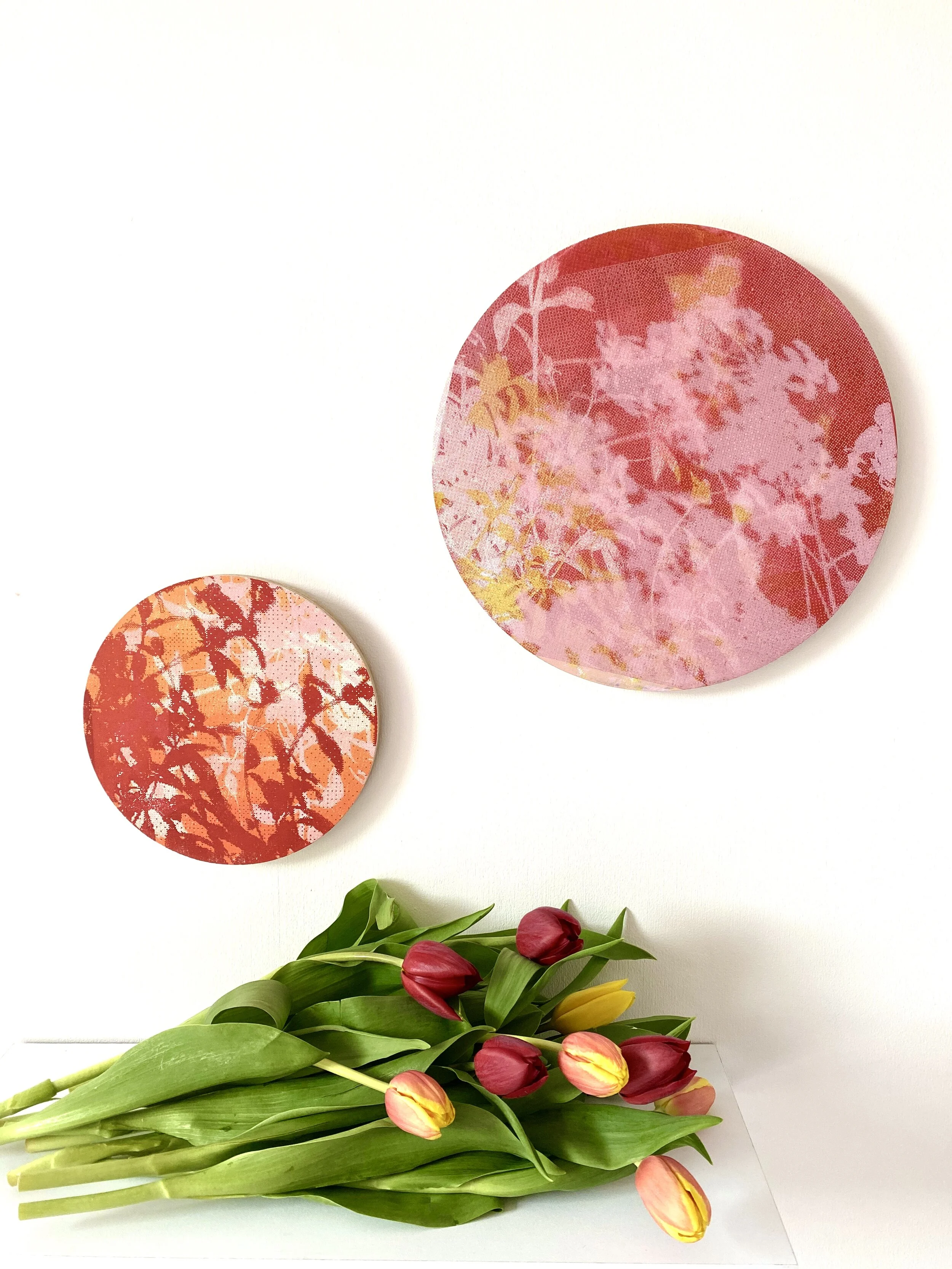 2BB3DD20-57B4-4505-8A98-3639B5757066