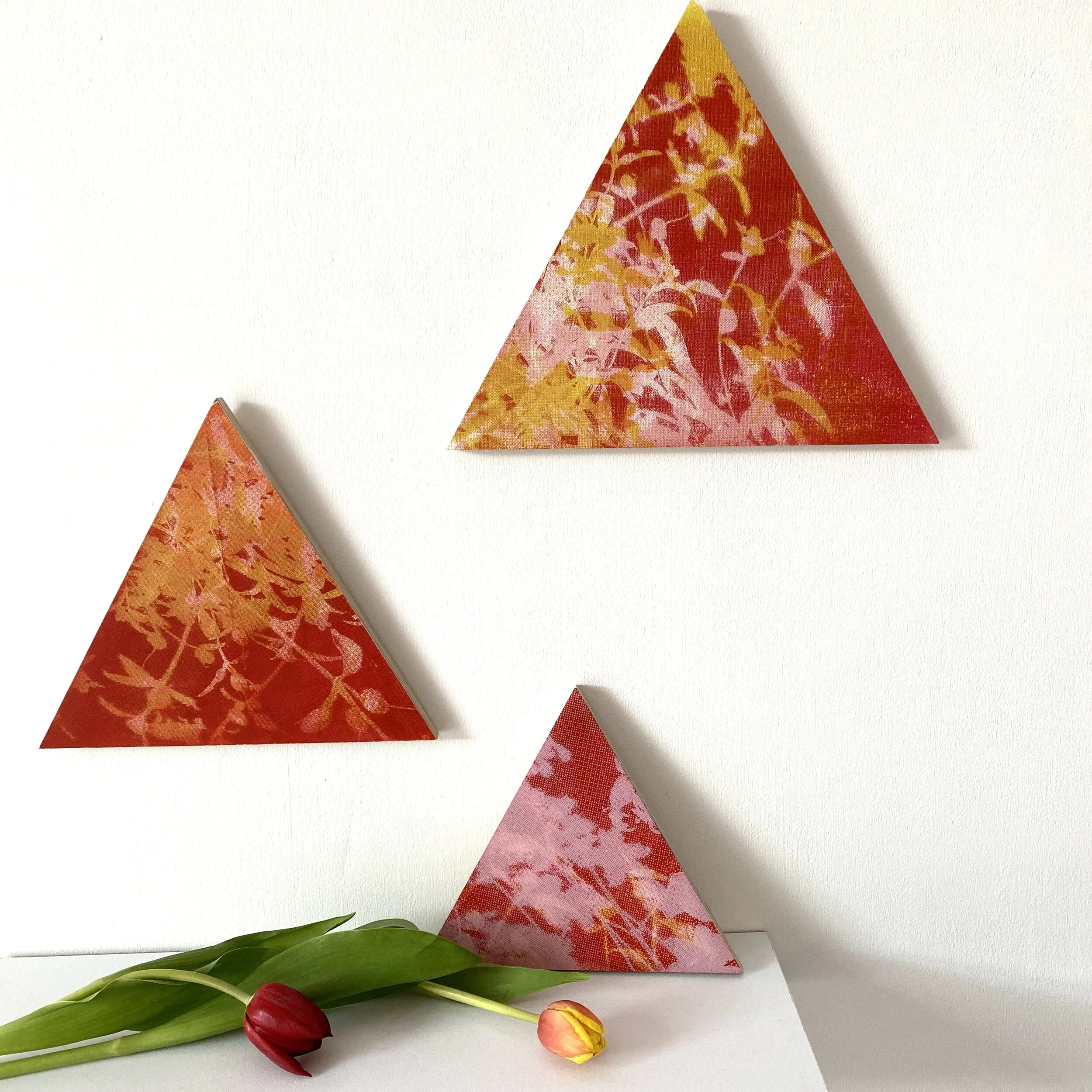 A1BFE9E4-294C-4DB8-833B-A838FDBC4086