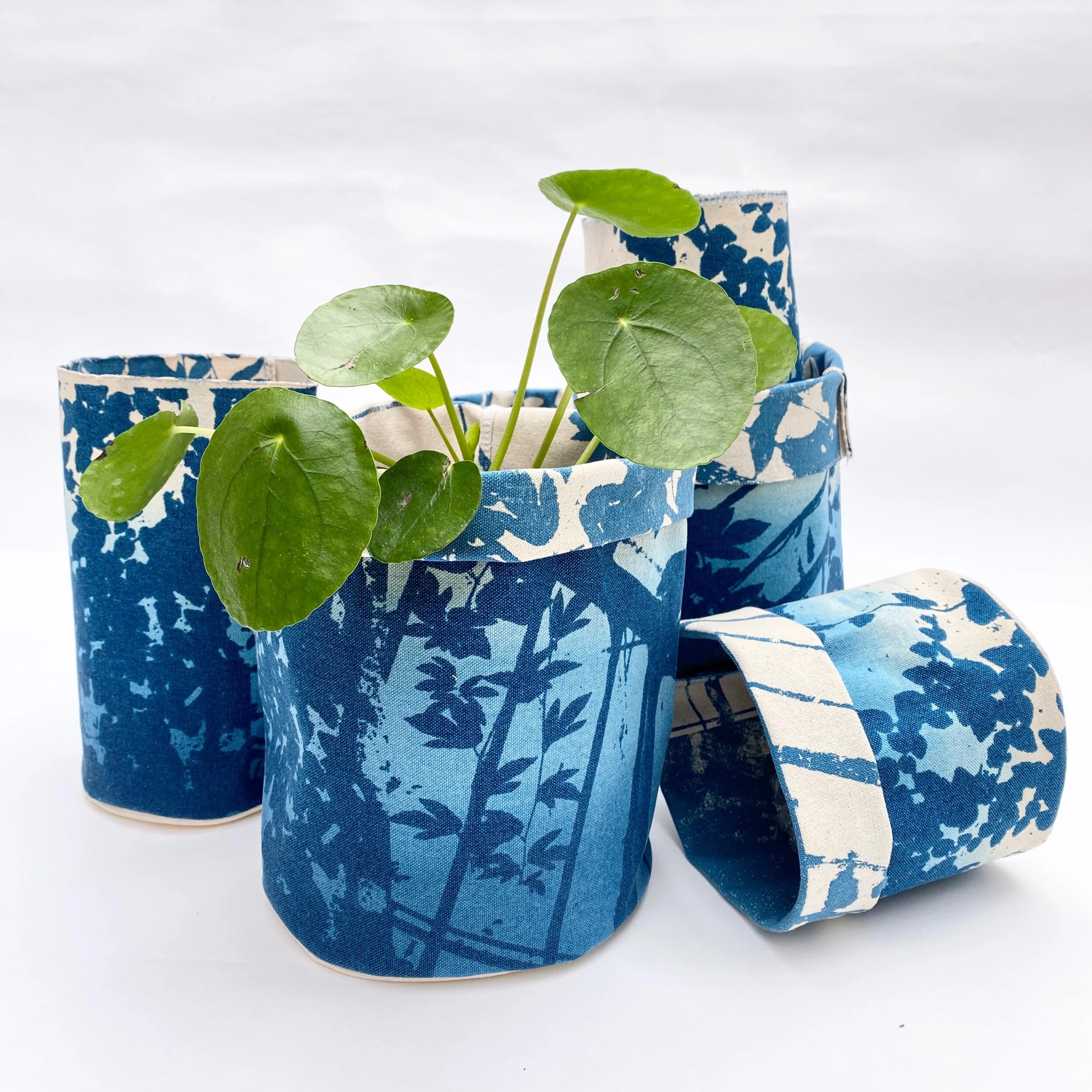 5D0478B2-F883-4640-A6D4-B7FCEB3A90E7