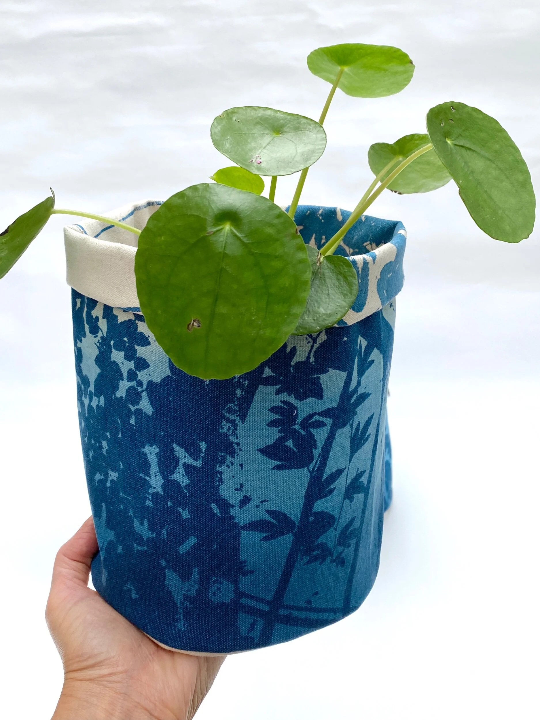 01B11098-636C-4F76-8141-5E8988437778