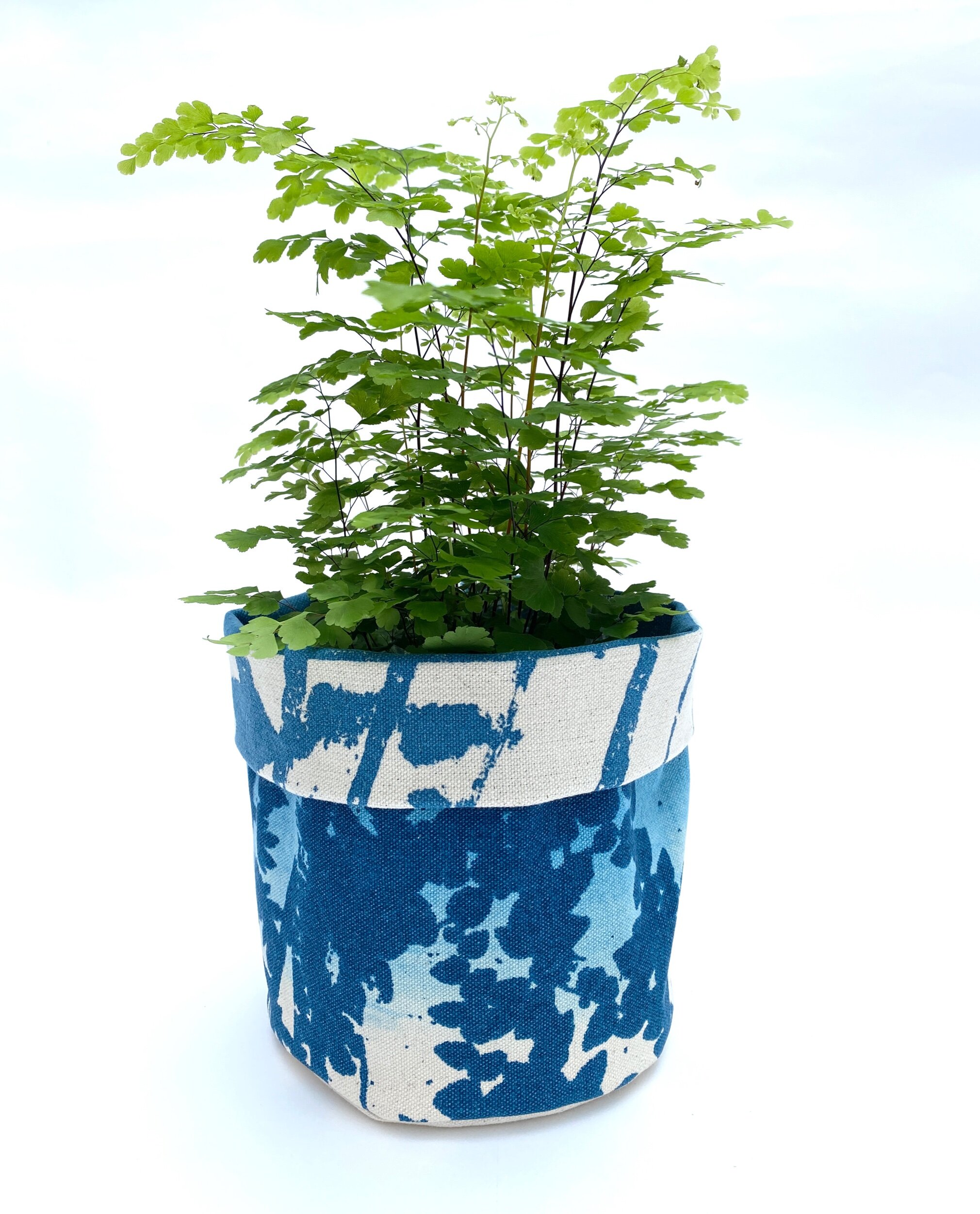 4B0CD03B-31C2-4C21-8E17-22BC756B2B9D