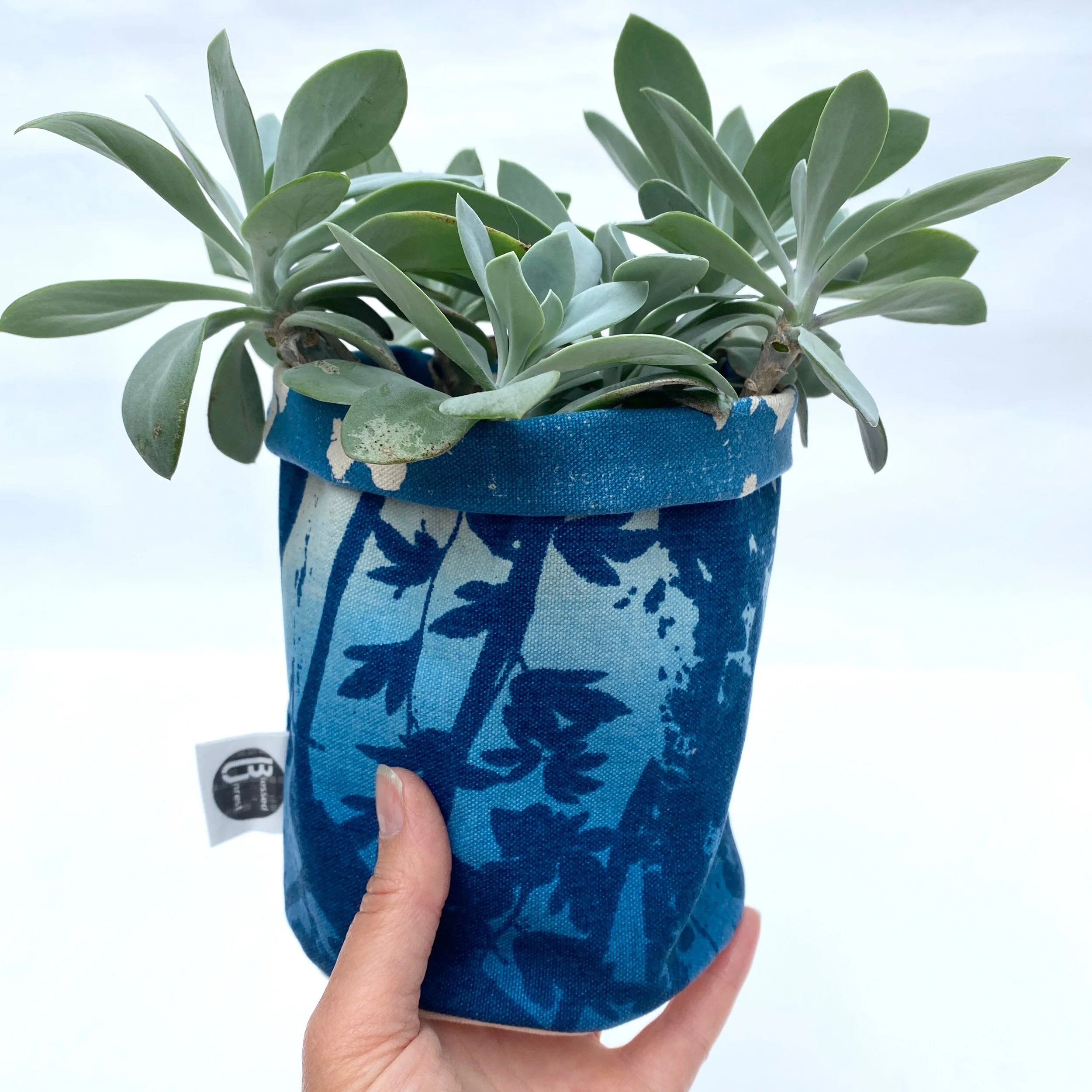 D6E76B26-0909-4B68-8F62-CFDC7E960257