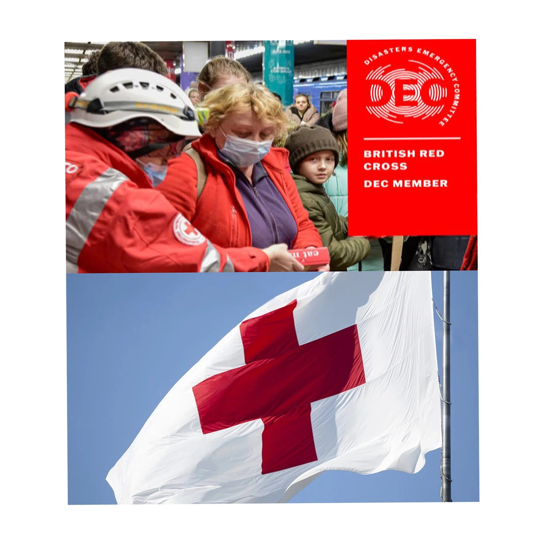 13A90484-F64A-4395-A8D4-D29555A96B5E