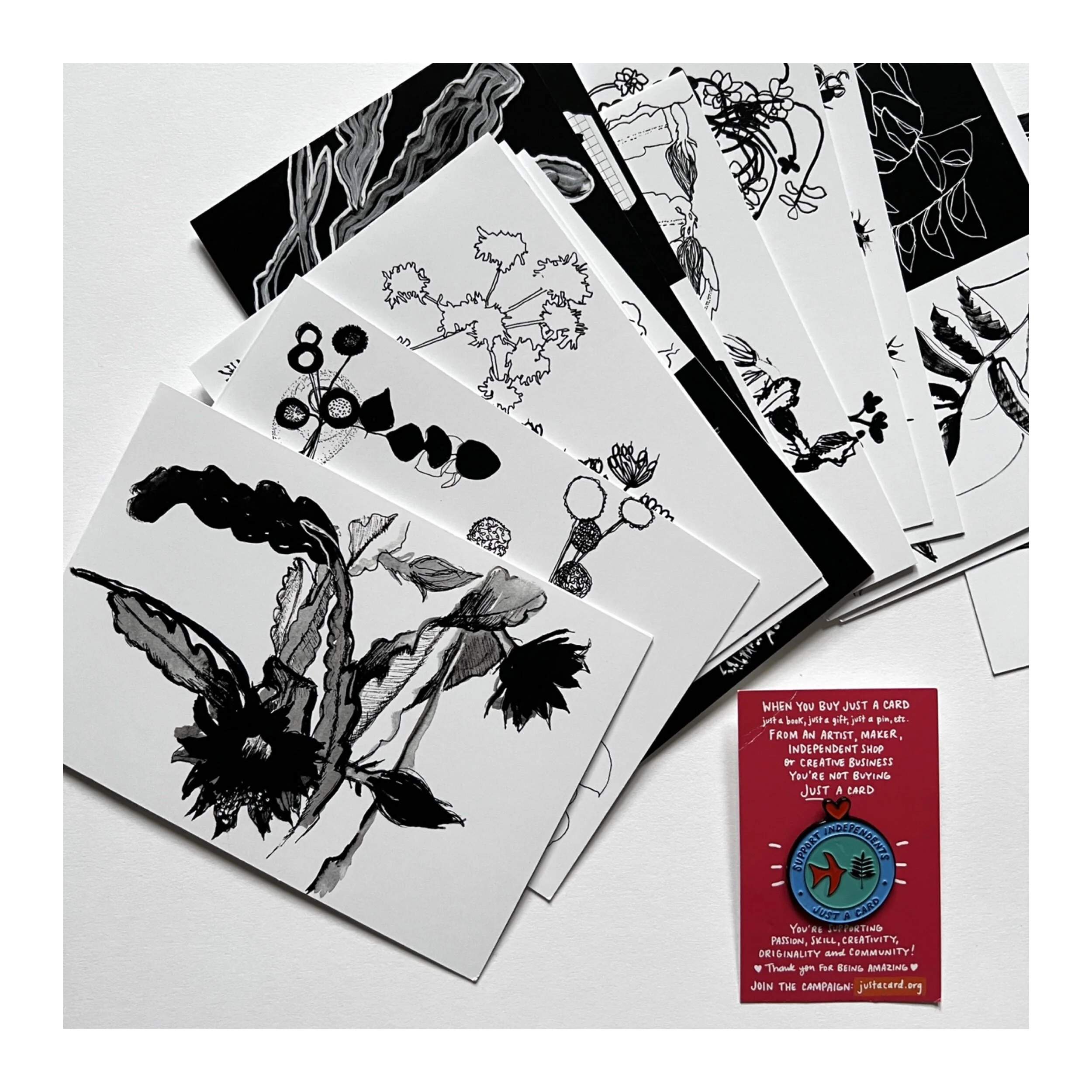 FD98AD41-CEAE-4EBF-8E3A-9A2B044BAE11