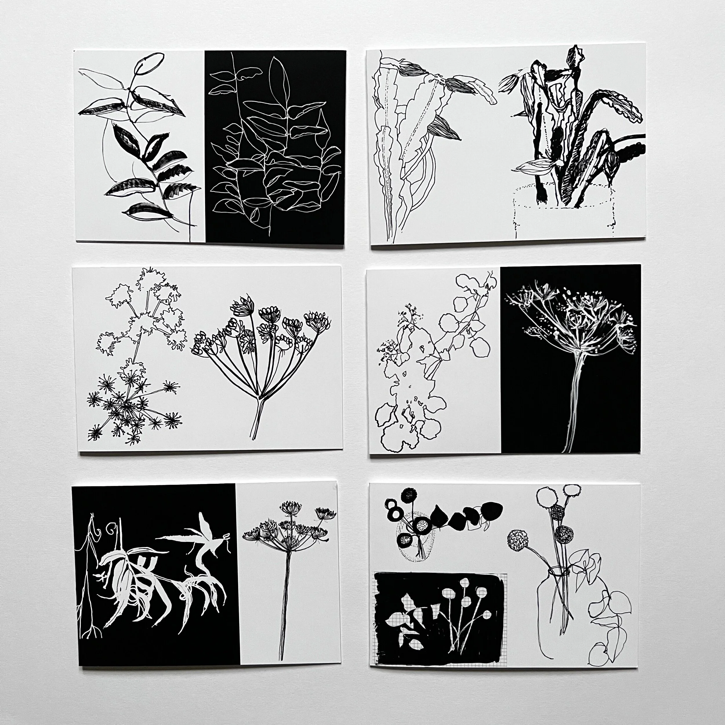 5364D8A6-C341-410C-827C-671C31B23367