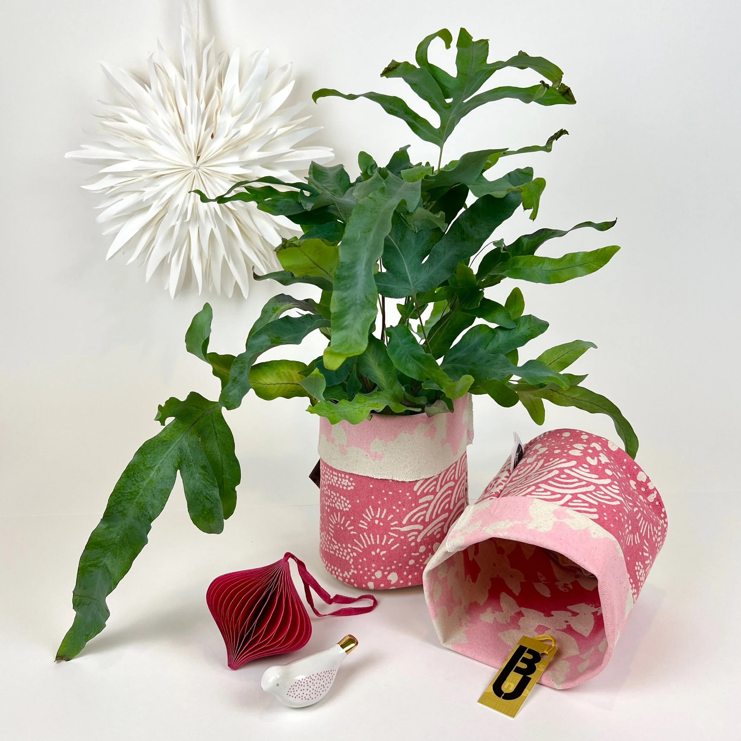 4090E754-1739-46A1-AE1A-252CAC149F92