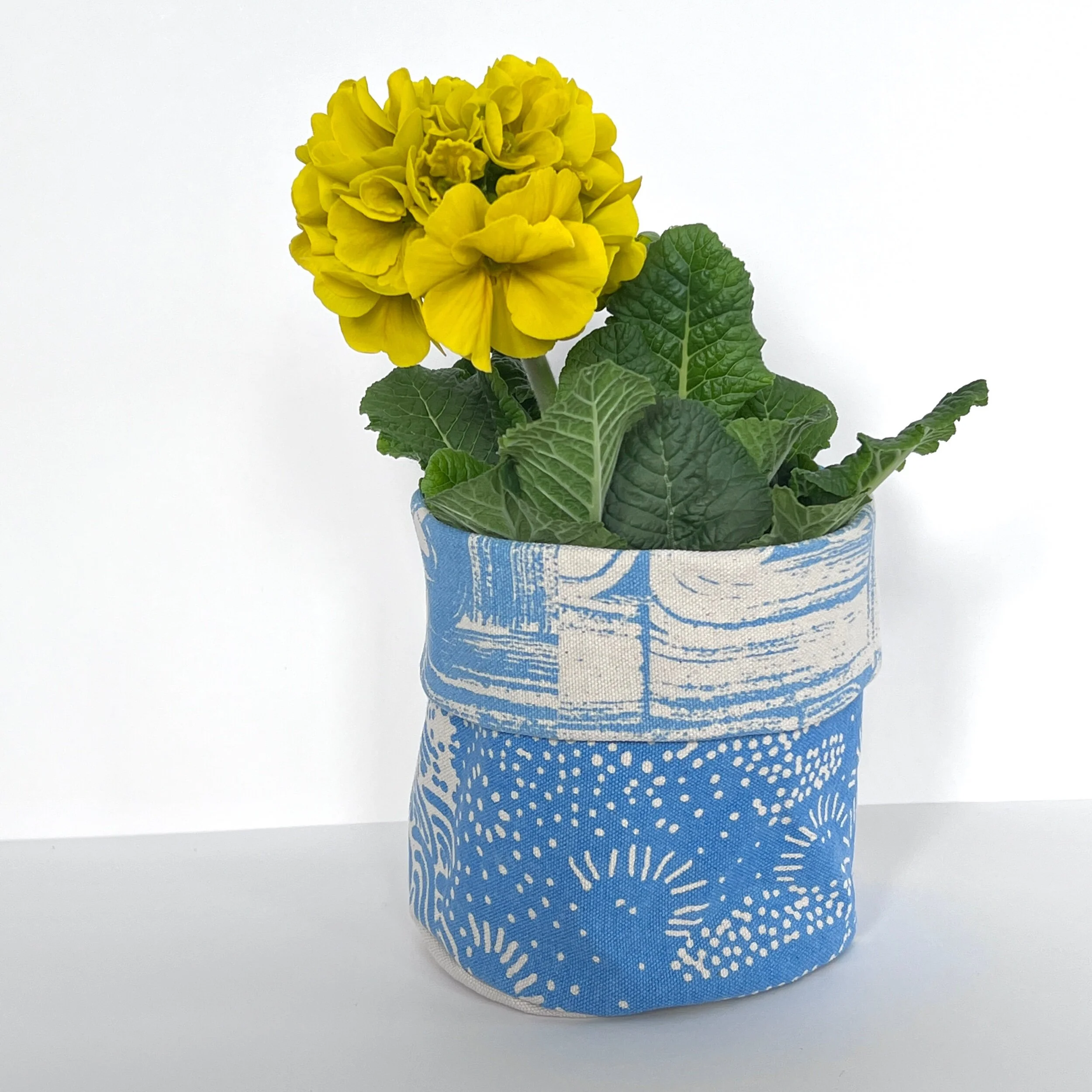 B1A629C9-880C-4560-80E2-7A13C0E10239