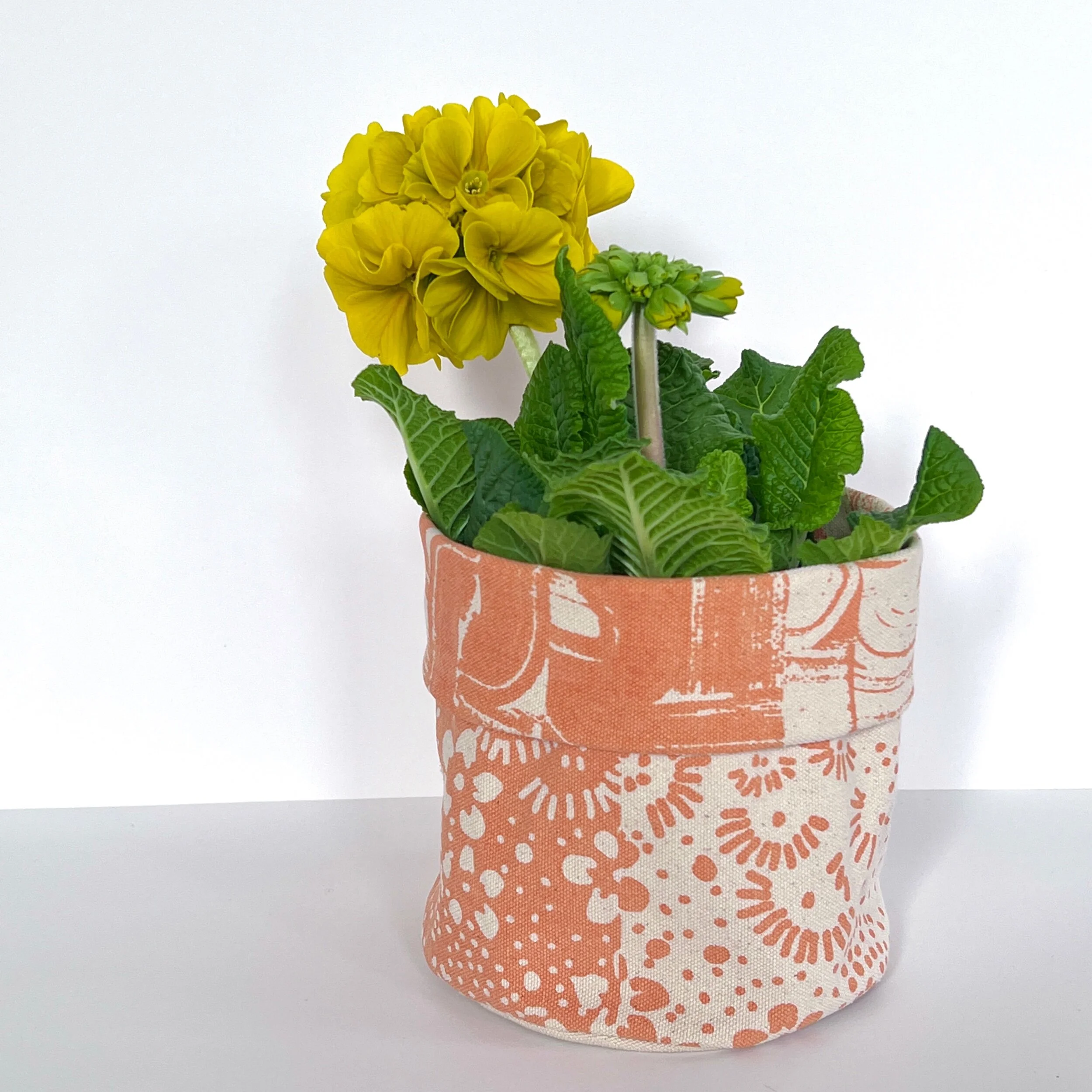 BF832D29-280C-4CE2-BB2D-8F201123B1BF