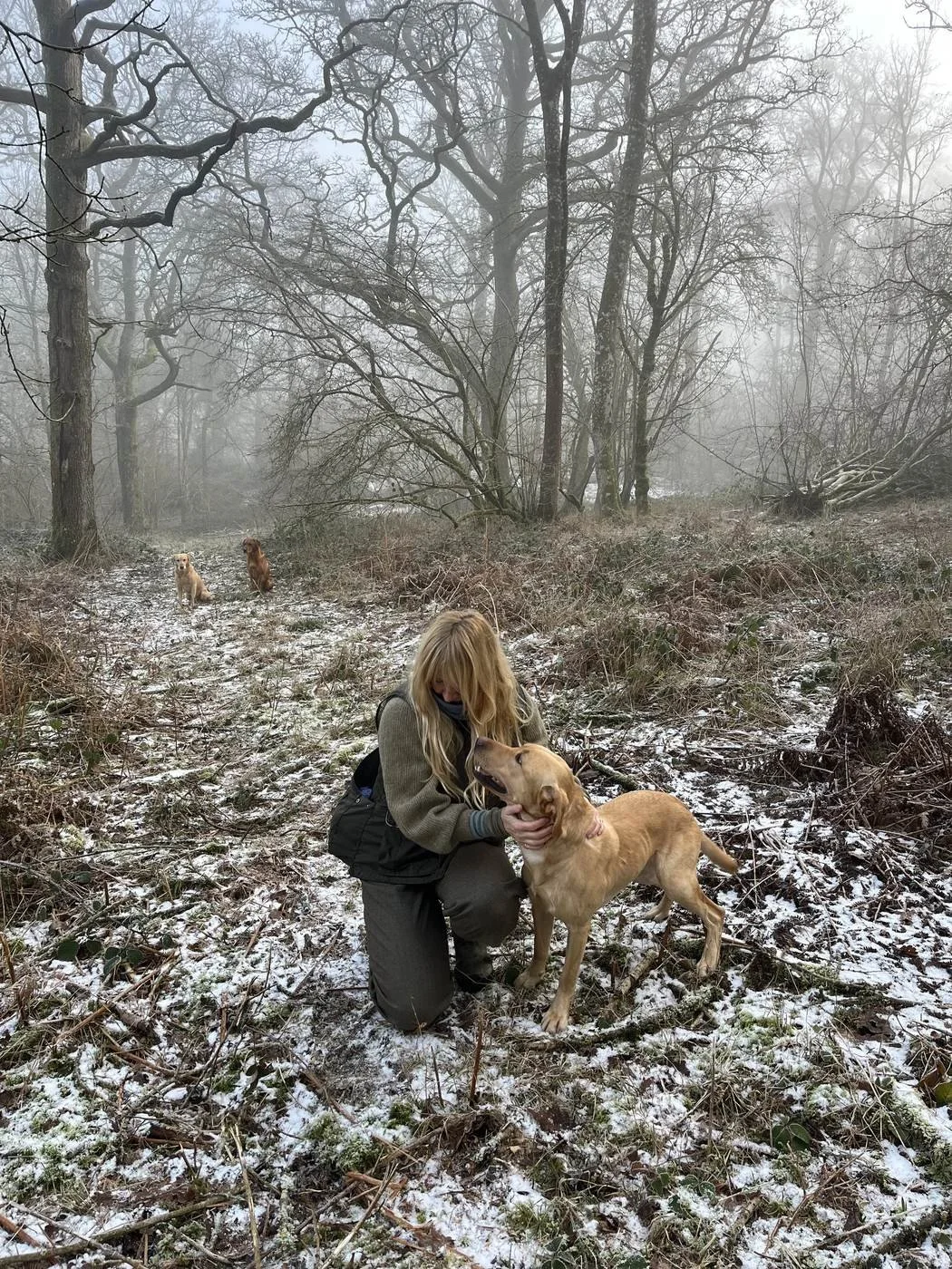 betsy-bradford-artist-with-labradors-about-portrait.jpg
