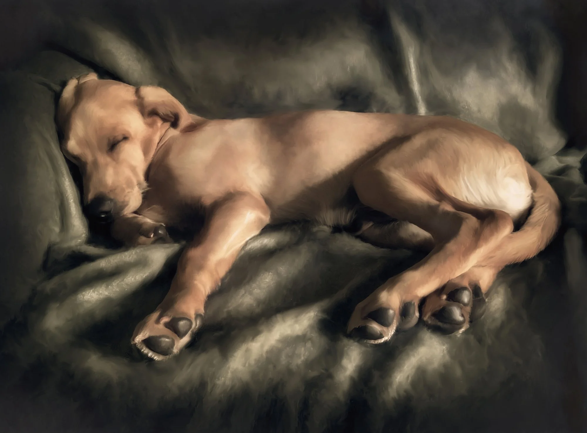 bunny-yellow-labrador-puppy-portrait-betsy-bradford.jpg