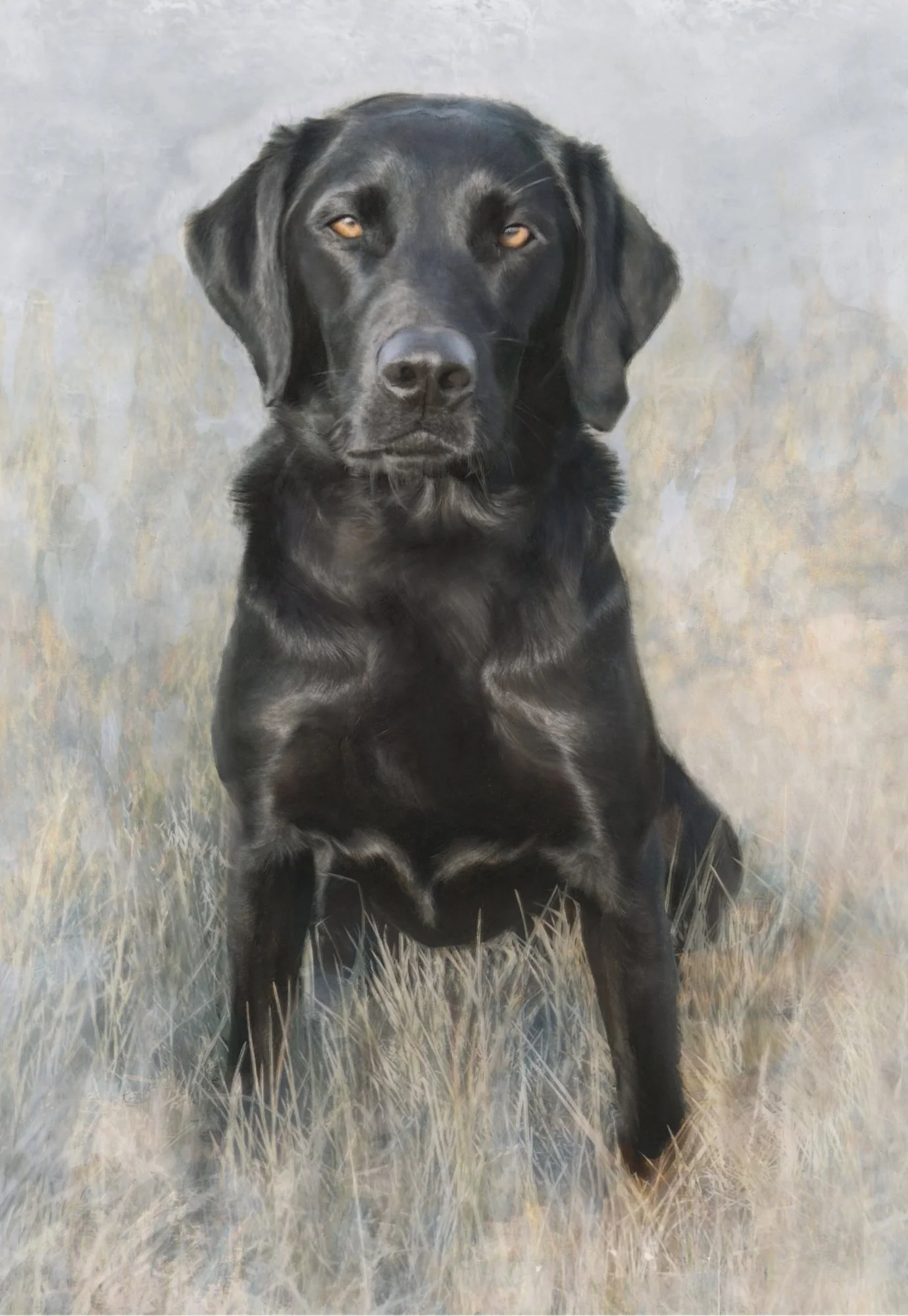 ffion-black-labrador-portrait-betsy-bradford.jpg