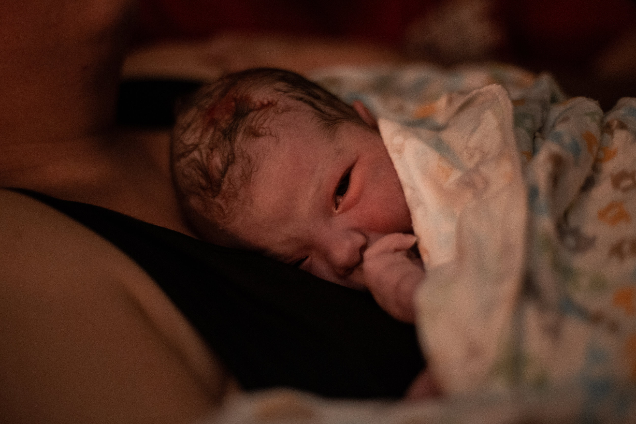 A newborn baby wrapped in a wet receiving blanket looks directly at the camera. 