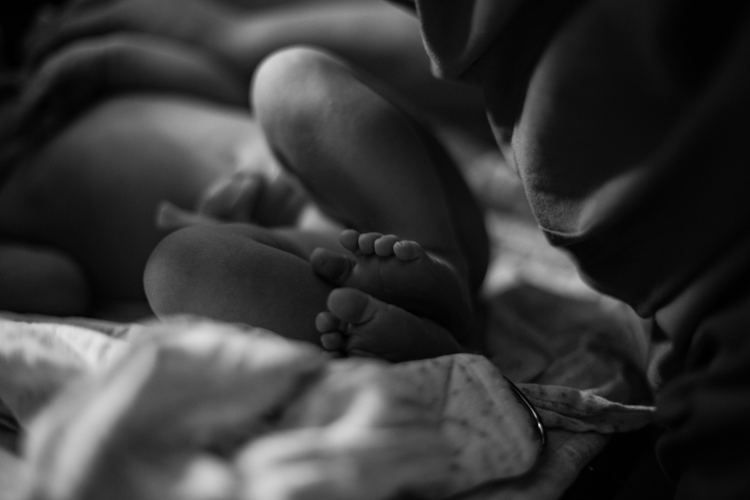 Black and white image of newborn baby toes. 