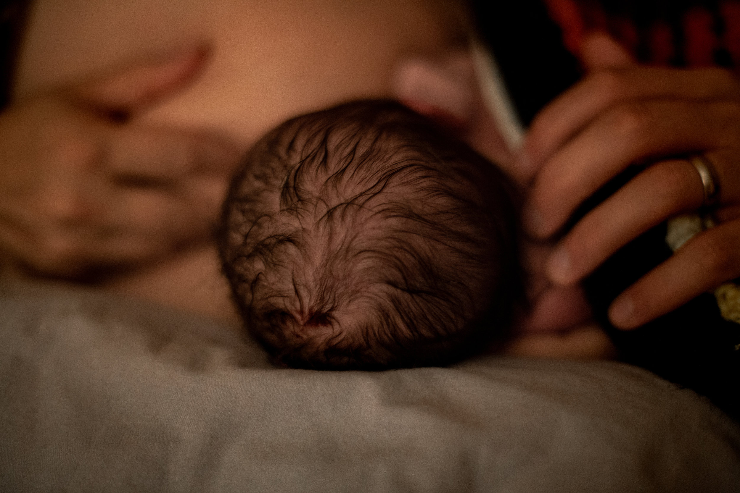A newborn baby's hair as she lays on a pillow and breastfeeds. 