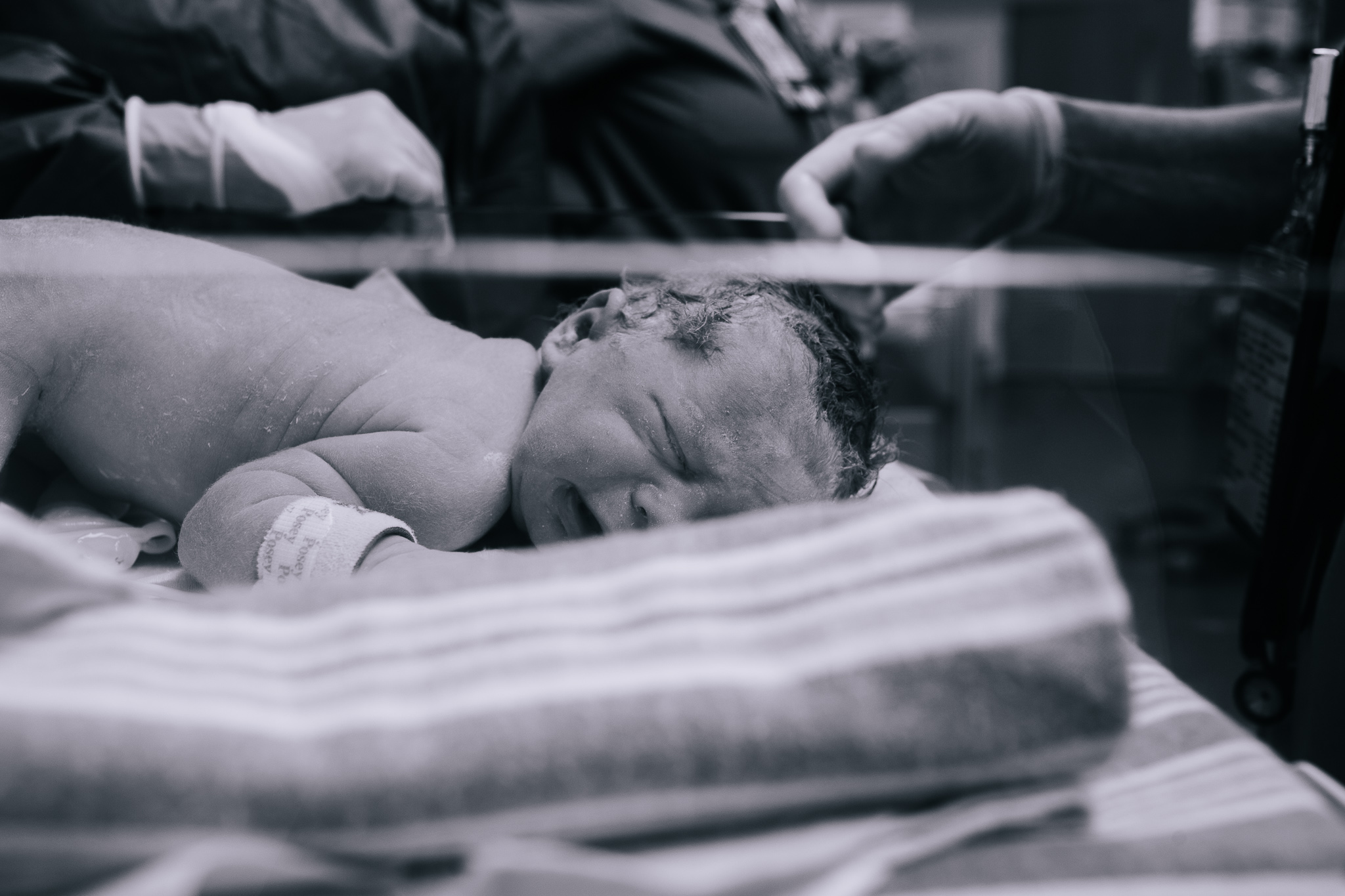 A newborn baby face down in the bassinet in the NICU.