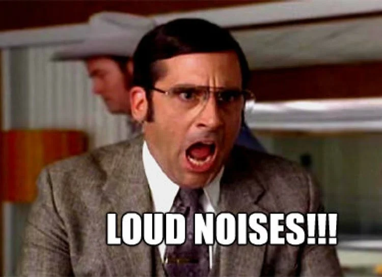 loud noises.jpg