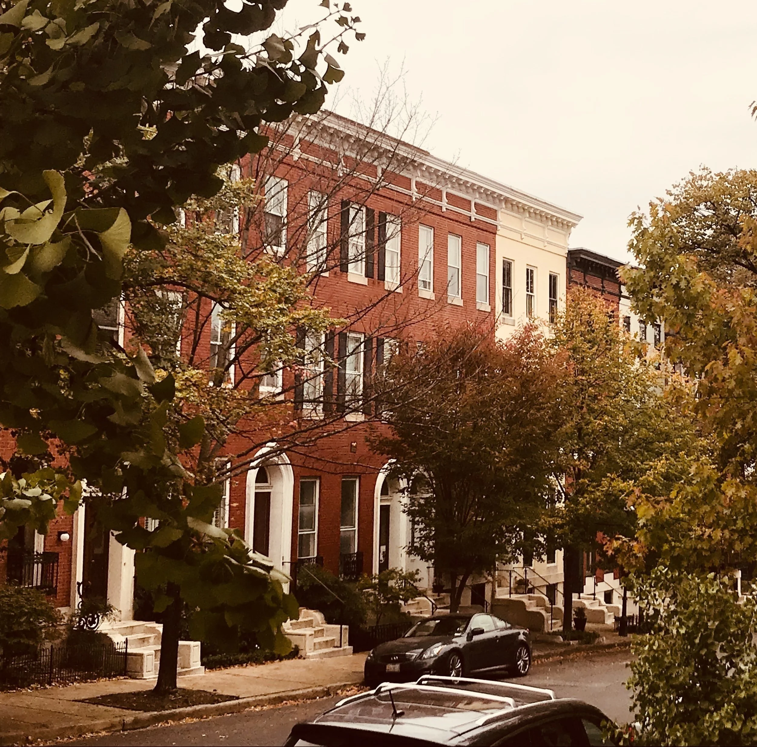 The View from Bolton Street — Memorial Church