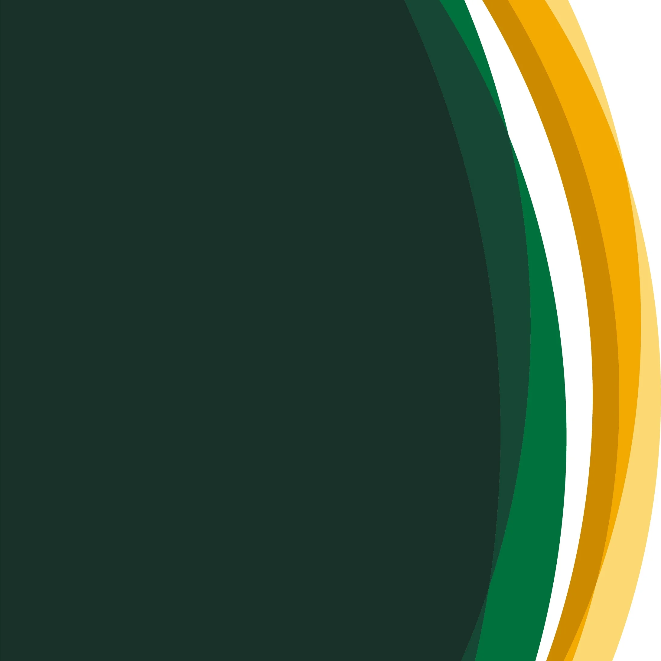 circles_gr_yel_photo_rgb.jpg