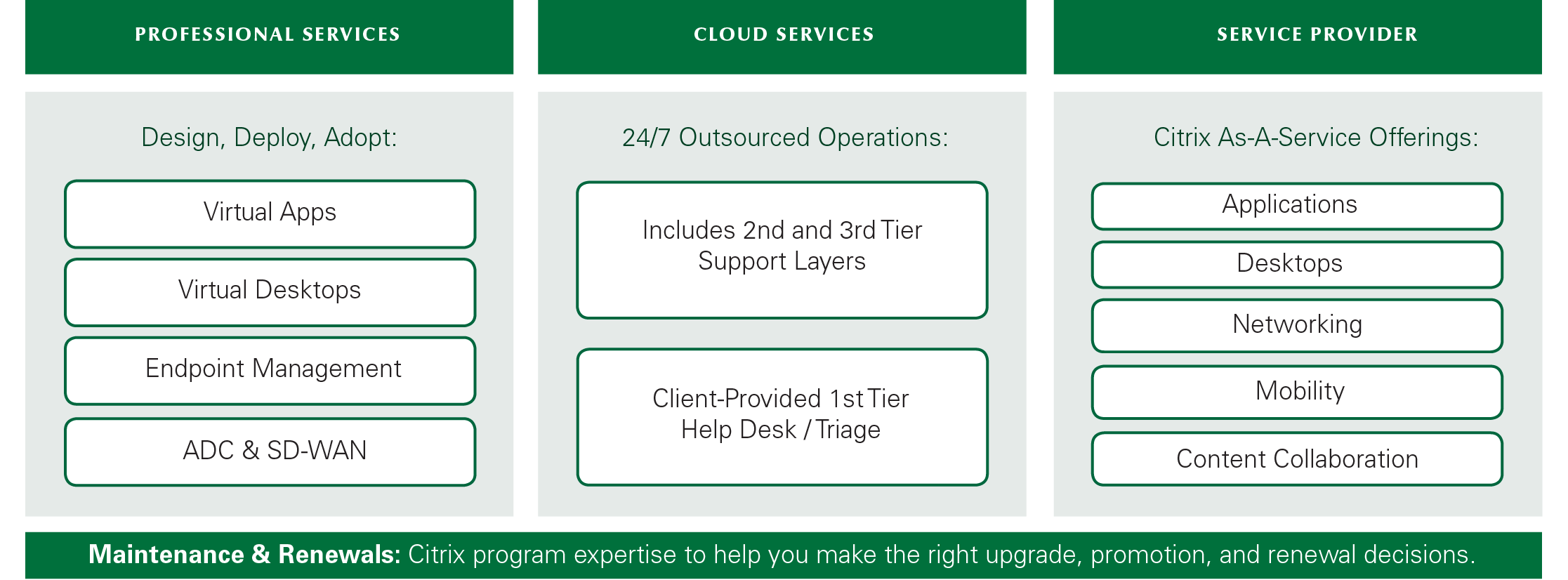 Burwood Citrix Capabilities Graphic.png