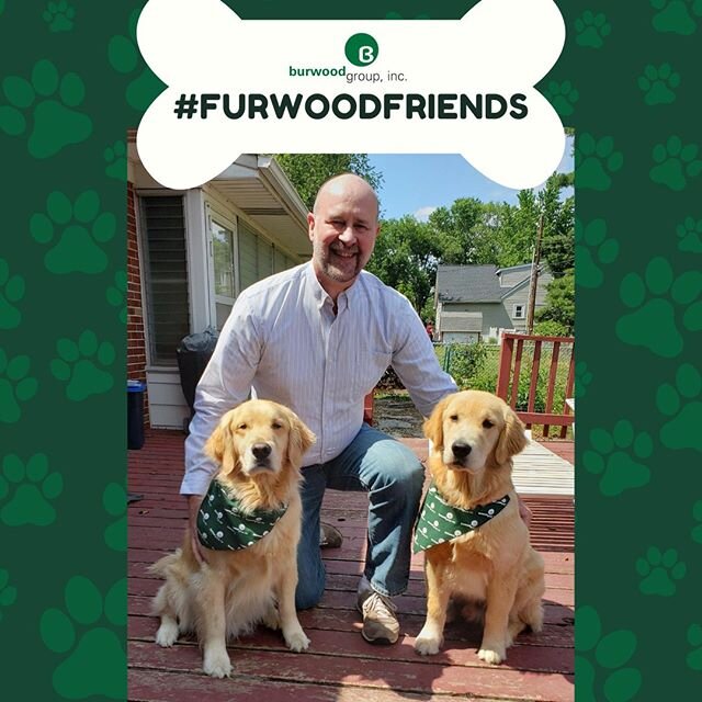 This #FurwoodFriday feature is Ranger &amp; Strider. These pups belong to our Sr. Project Manager, John Bell.

Ranger is on the left side. He is a 4 yr. old Golden Retriever. Strider is on the right and is a 7 mo. old Golden Retriever. 
https://okt.t
