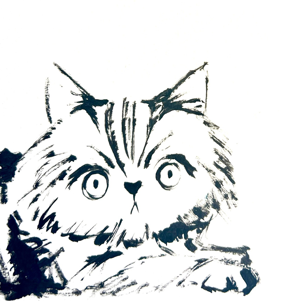 beth_gunnell_sketchbook_cat_grumpy.png
