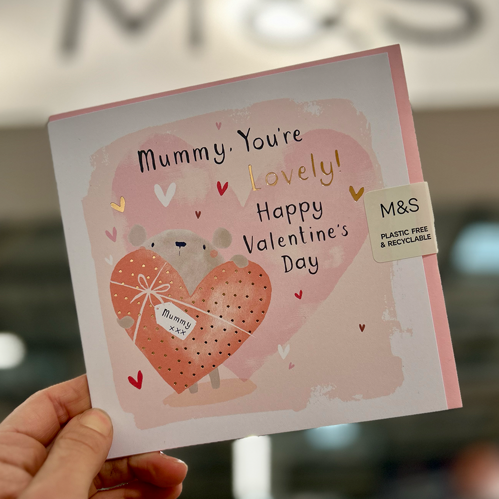 beth_gunnell_M&S_valentines_bear.png