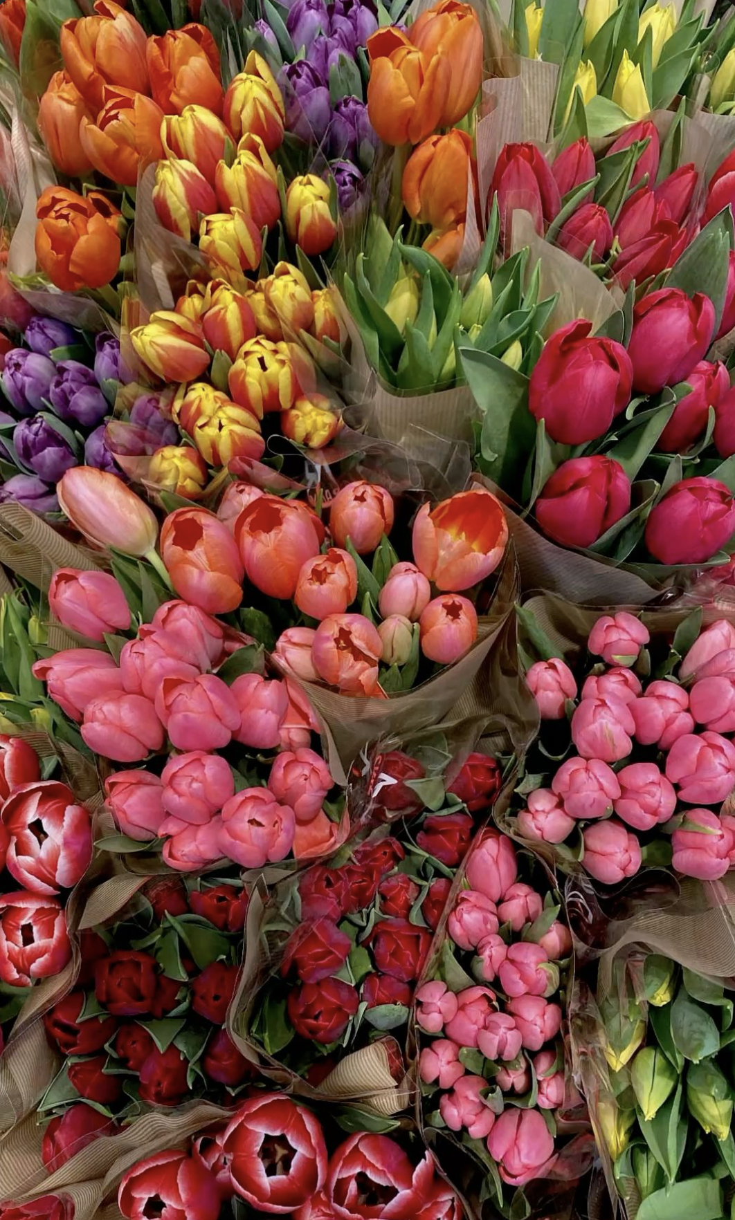 BRING YA MUM 241!💕