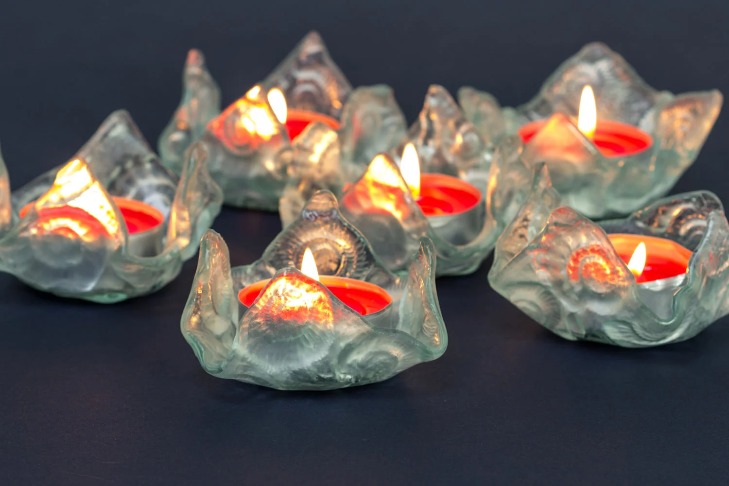 Ammonite tealight holders