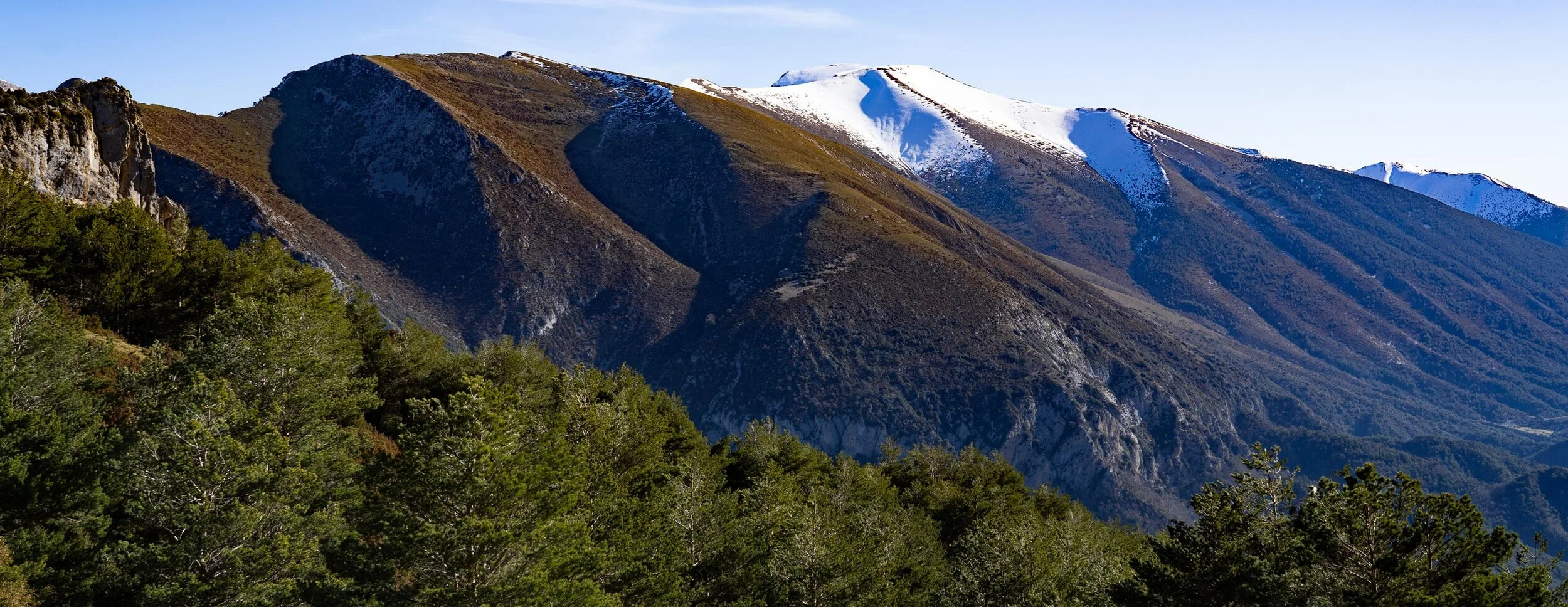 Design studio in Nature, a shift in perspective