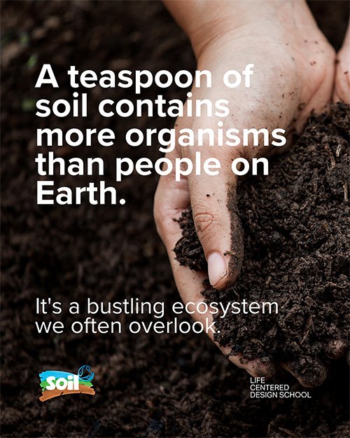 unbeaten-studio-non-human-persona-workshop-soil-association-6.jpg