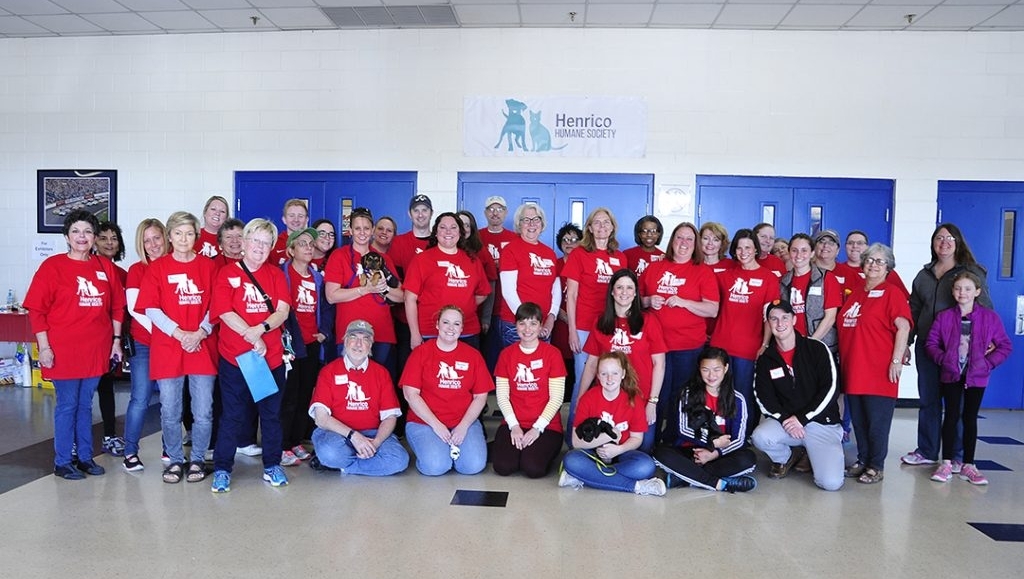 Outside of fostering, there are many more opportunities to help animals in need. For the most part, you must be 18 years old to volunteer with Henrico Humane. To become a volunteer, start by completing an online application . You will be contacted to set up an orientation date and time depending on the position.