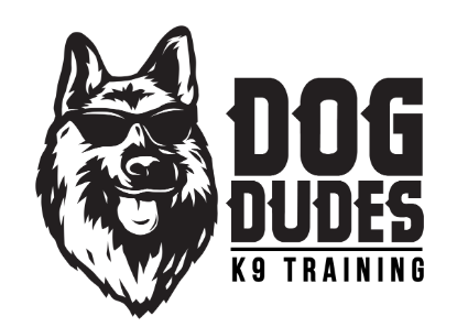 Dog Dudes Logo.png
