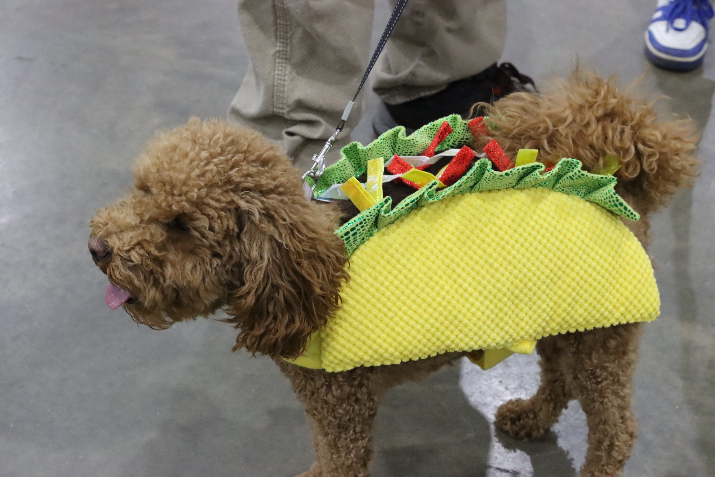 Taco Costume.jpg