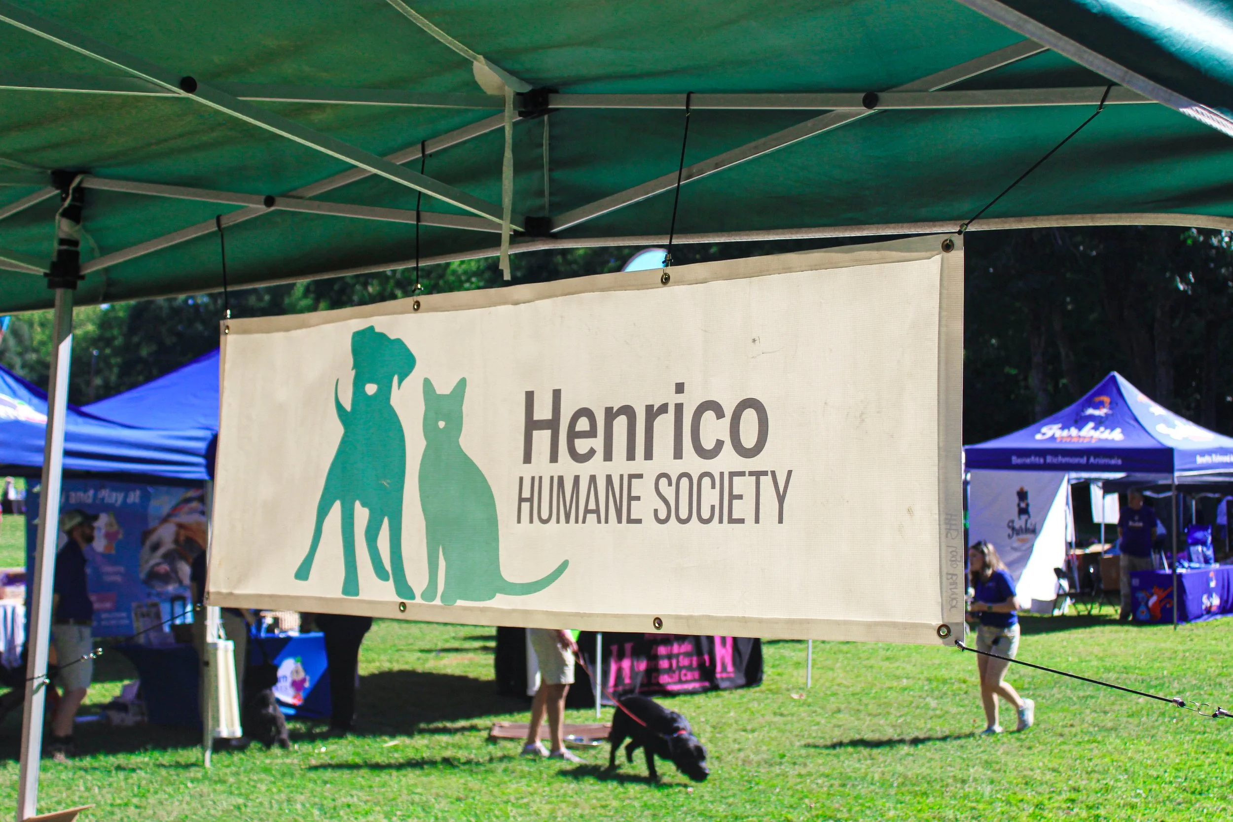 HHS Banner.jpg