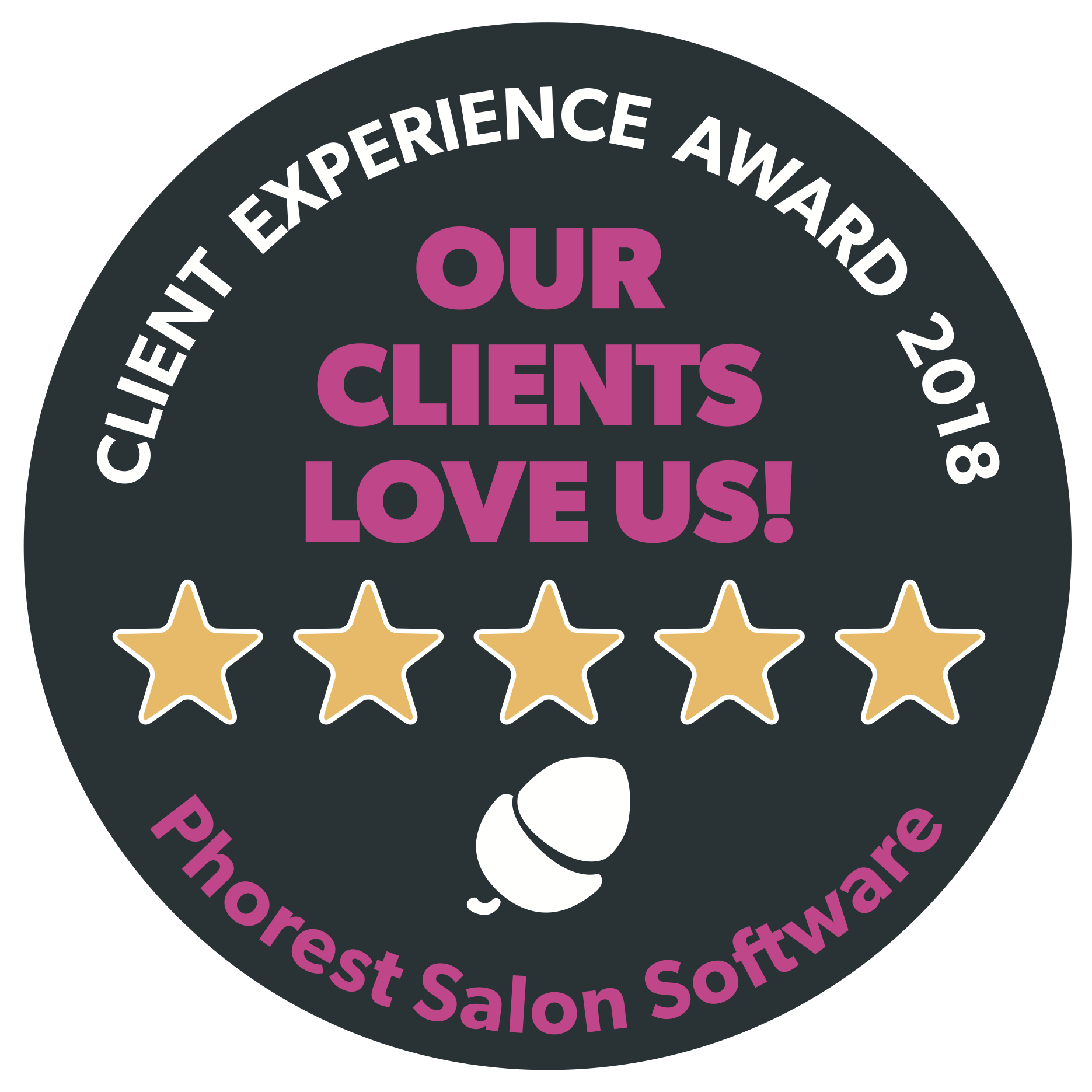 Client Experience Award 2018.png