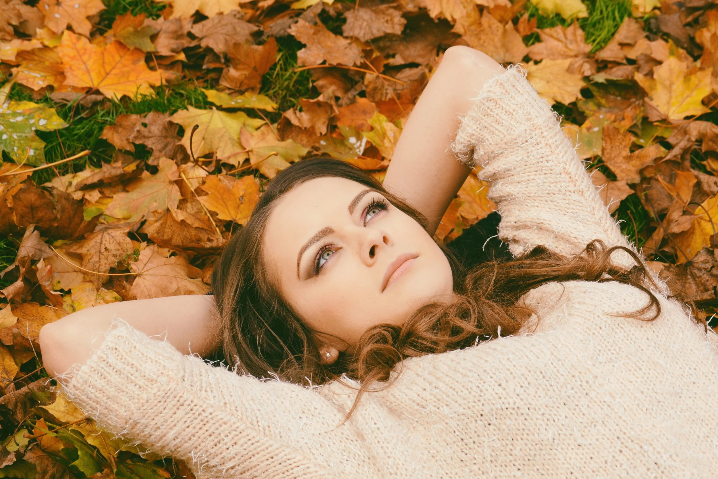 autumn-autumn-leaves-beautiful-694445.jpg