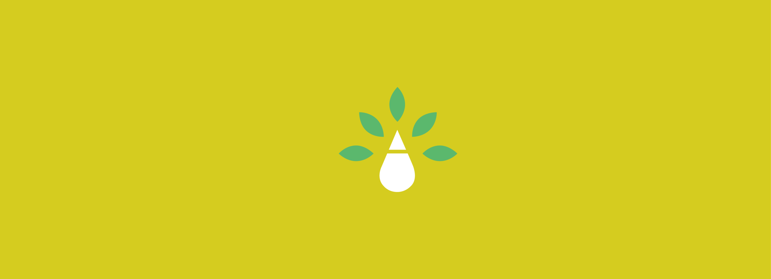 mockup-12.png