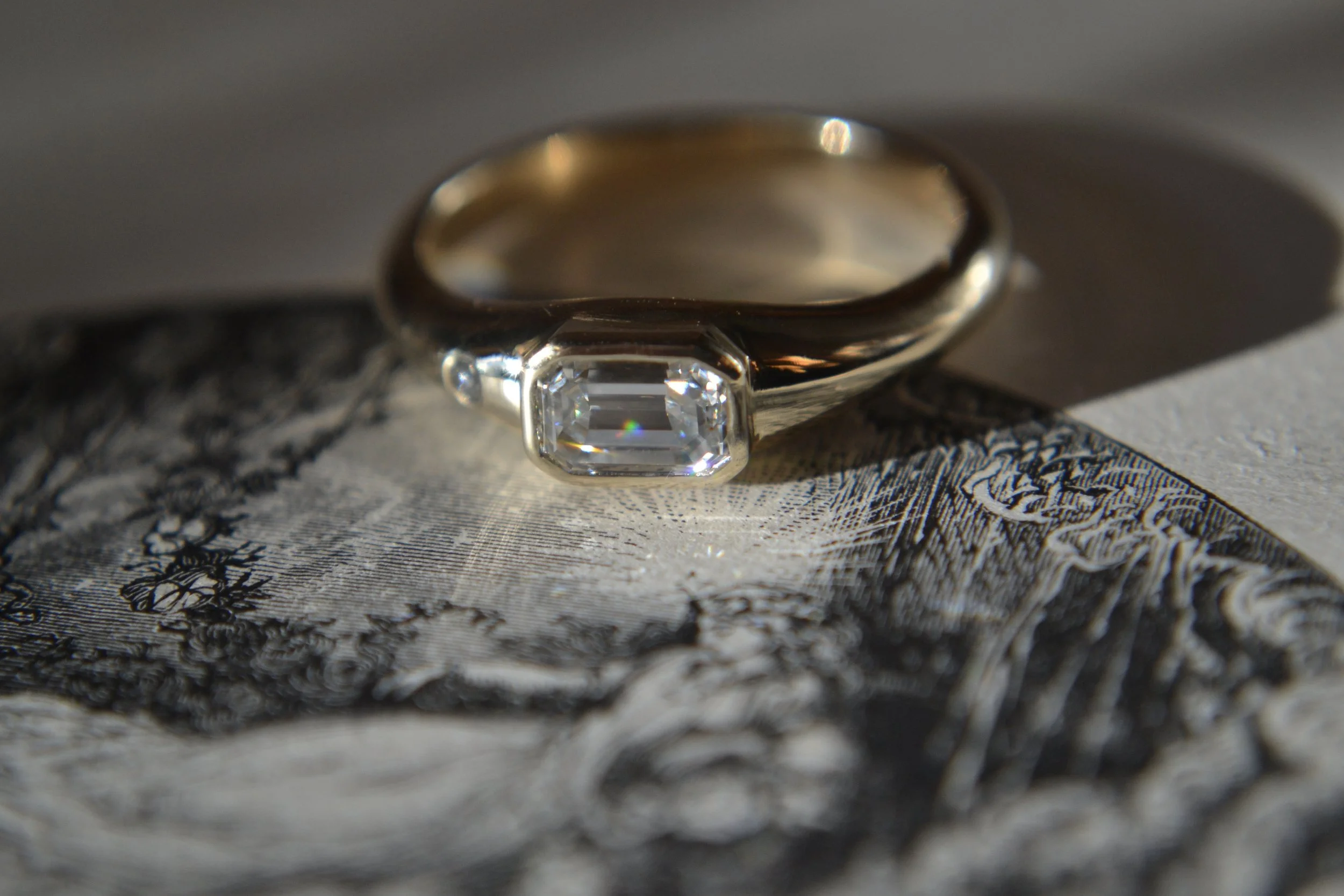 Signet TCL - Stasia Salvucci.JPG