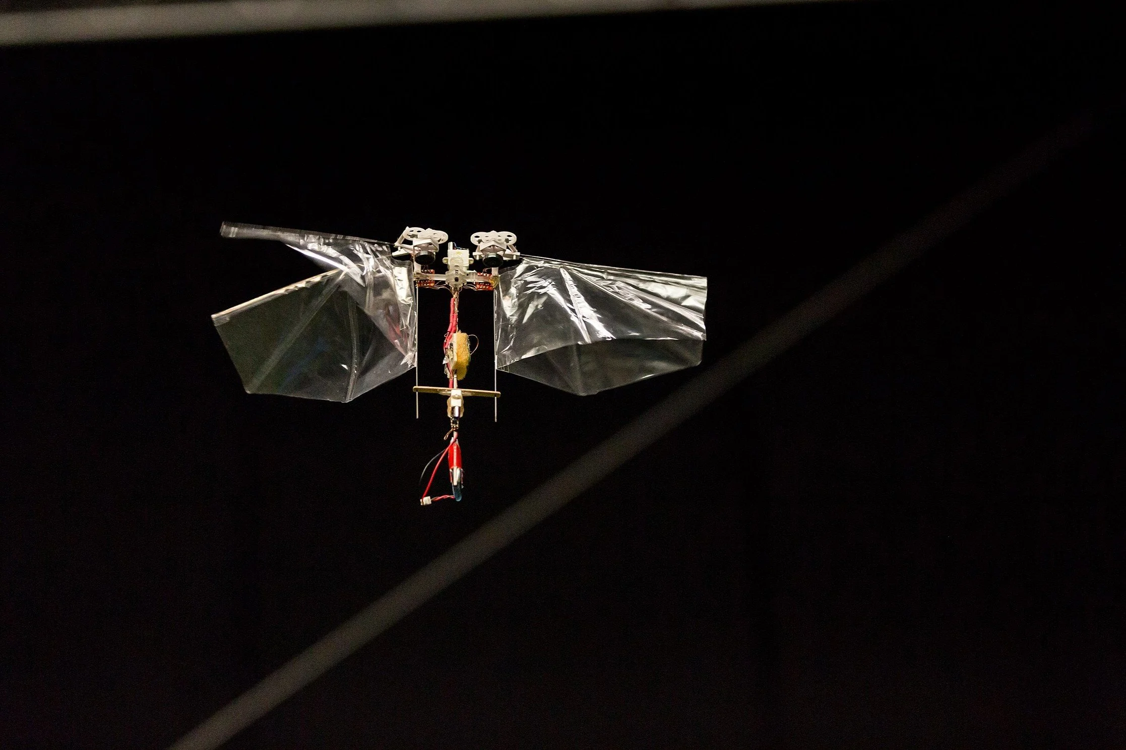 INSECT-LIKE DRONES THAT SENSE, LEARN AND SWARM — WITH GUIDO DE CROON
