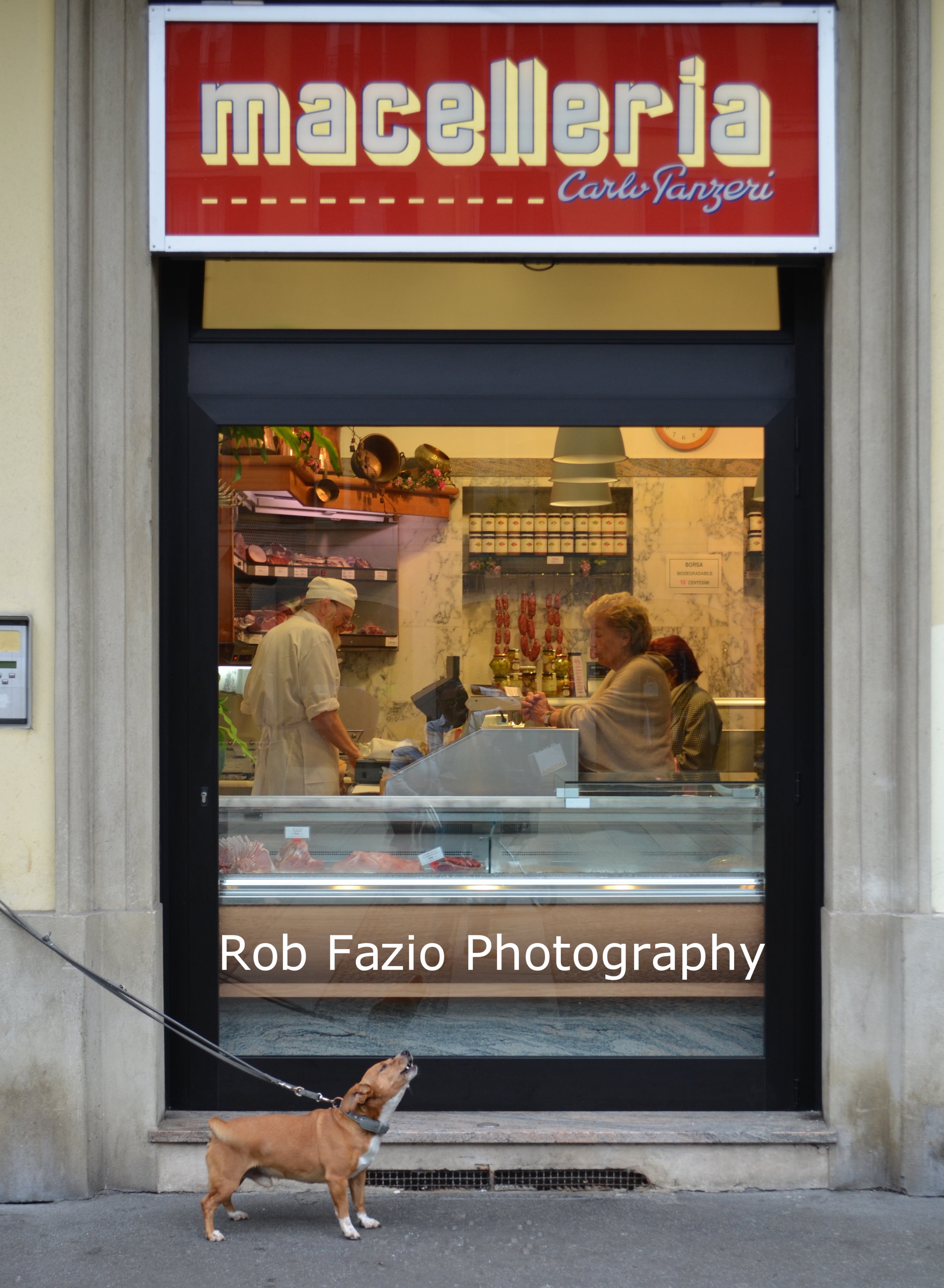 Butcher Shop Dog, Milan Italy