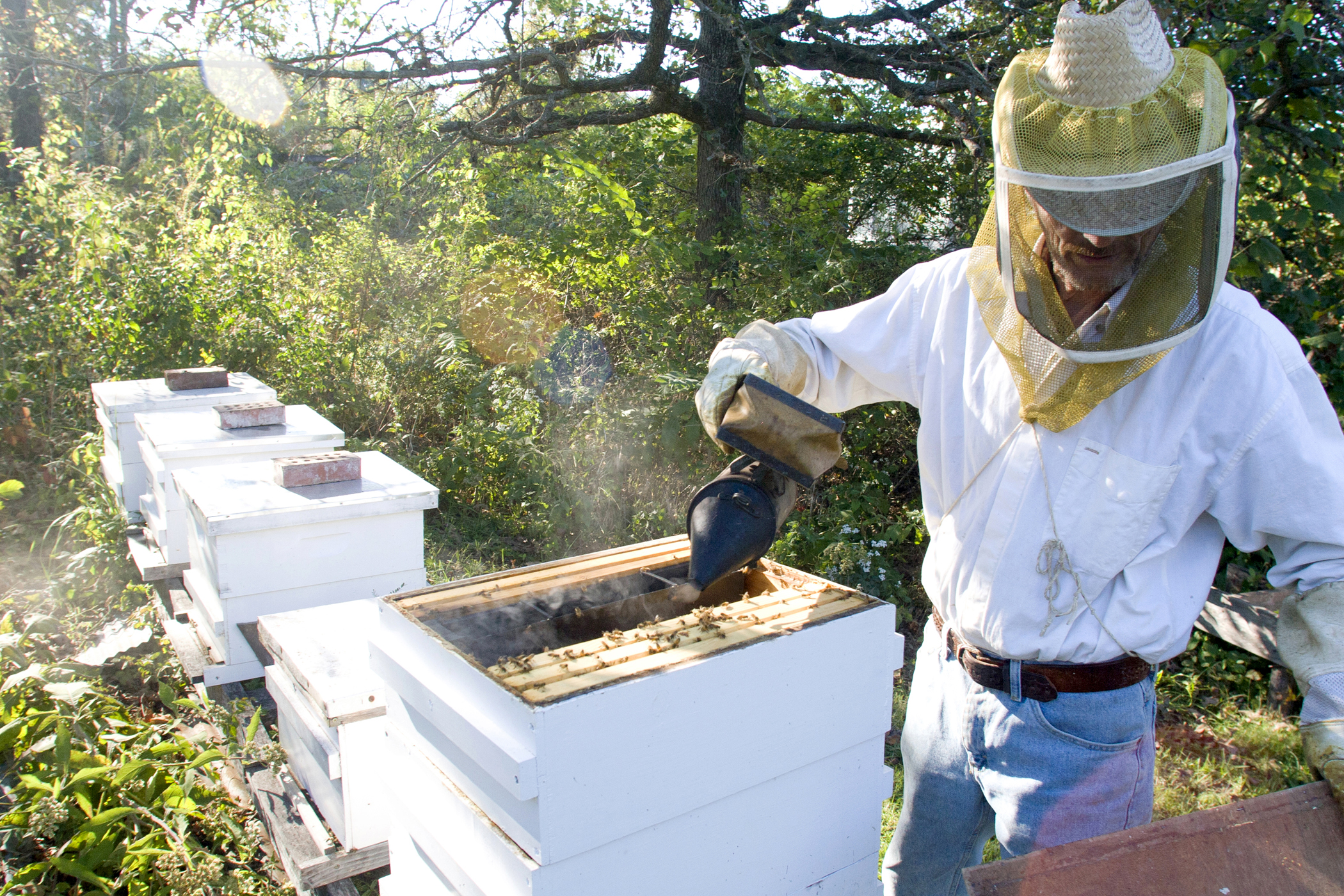 Farm photography beekeeper missouri