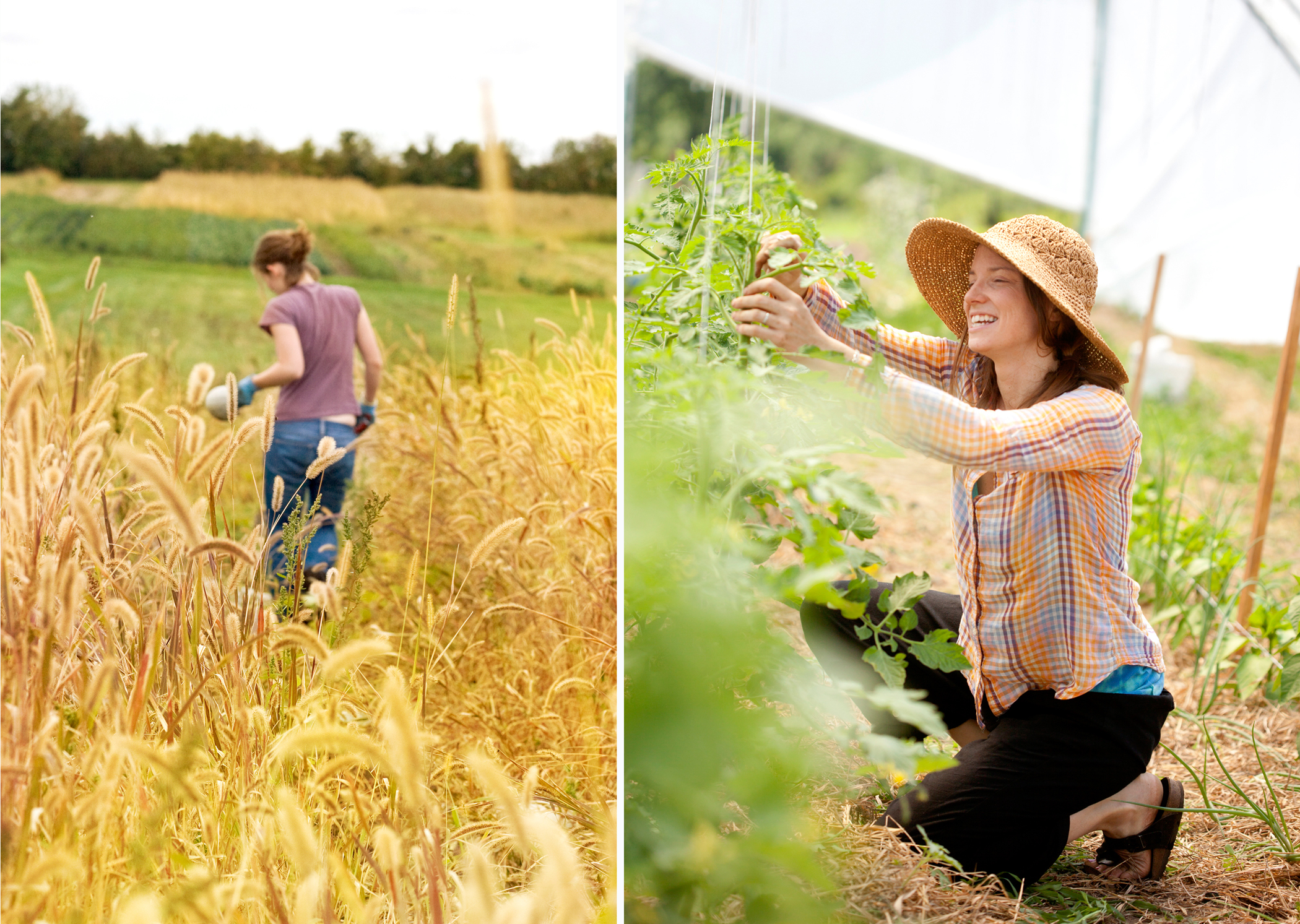 farm photography squash harvest minnesota