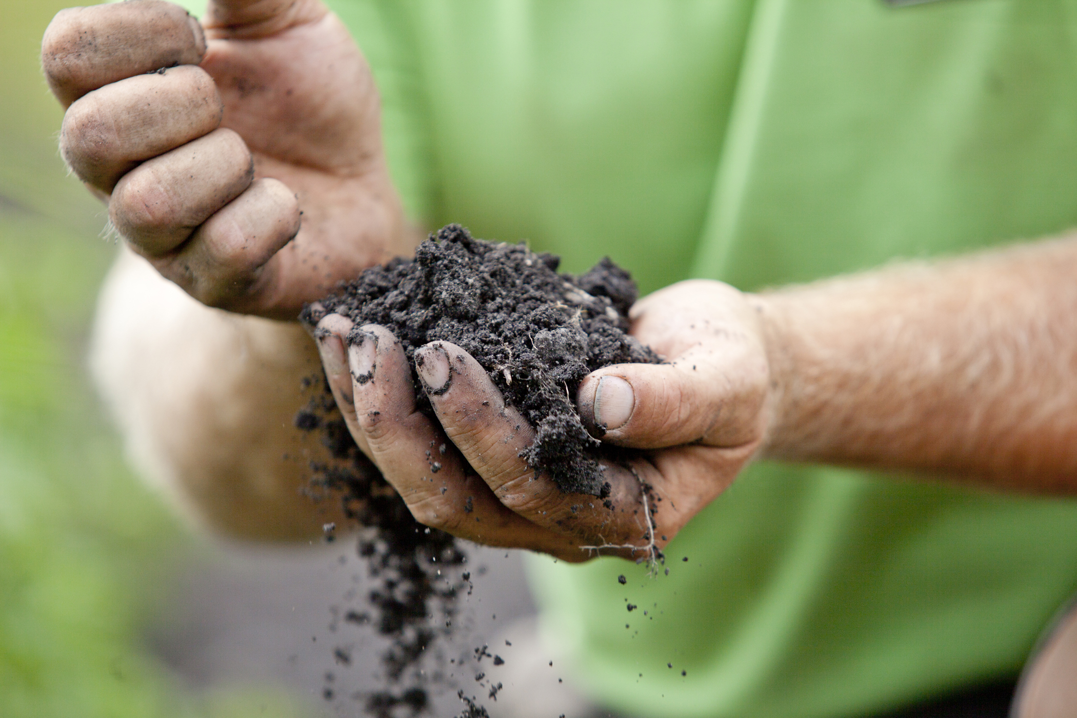farm photography of organic soil in farmer hands