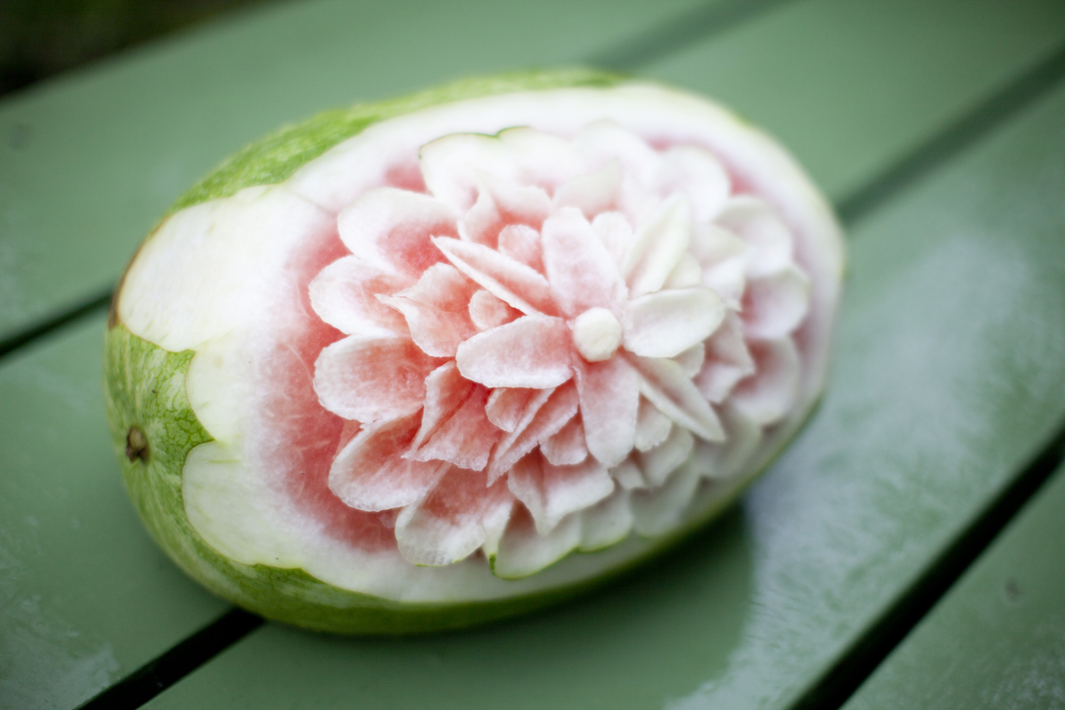 food photography watermelon picnic