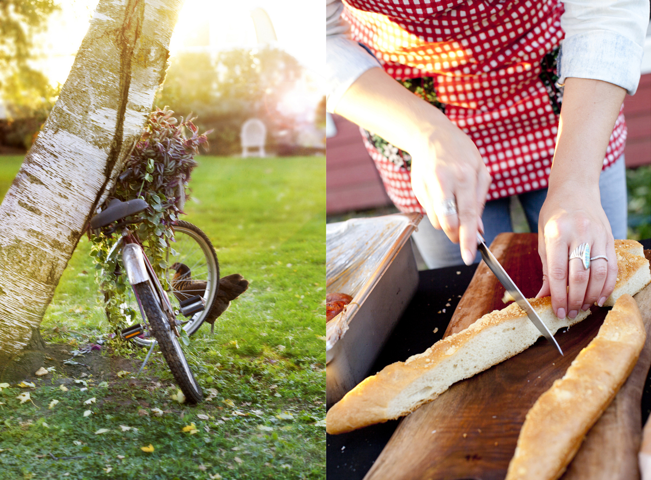 farm to table editorial photography of bread bike