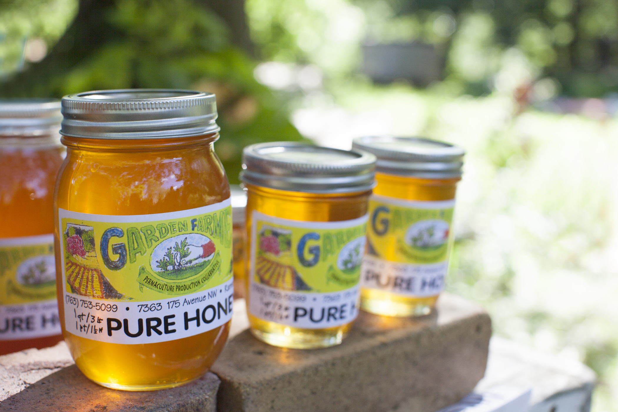 food photography honey farm
