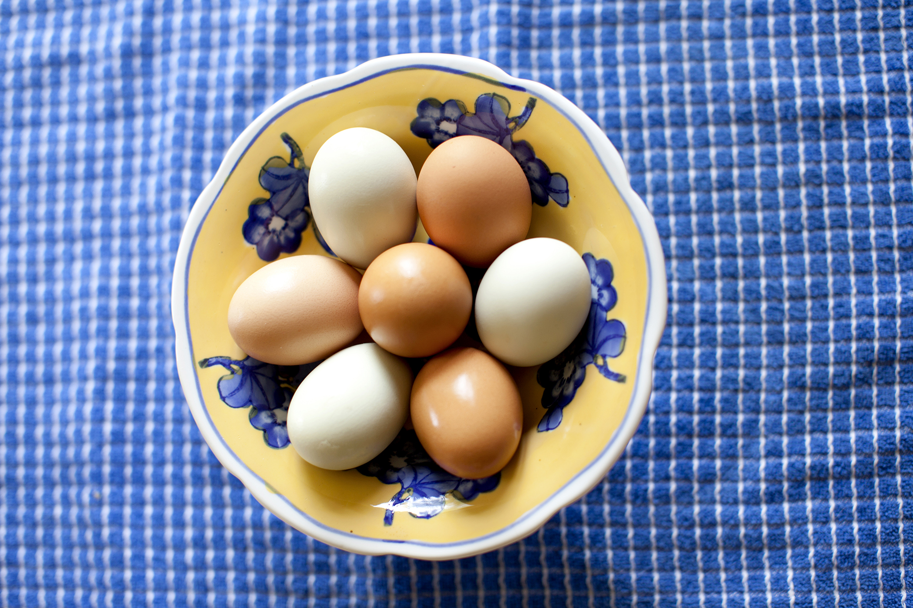 food photography farm free range eggs