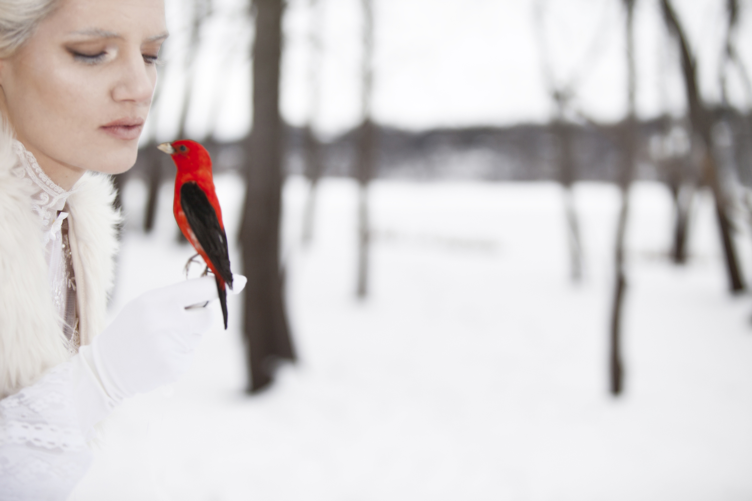 fashion photography winter bird