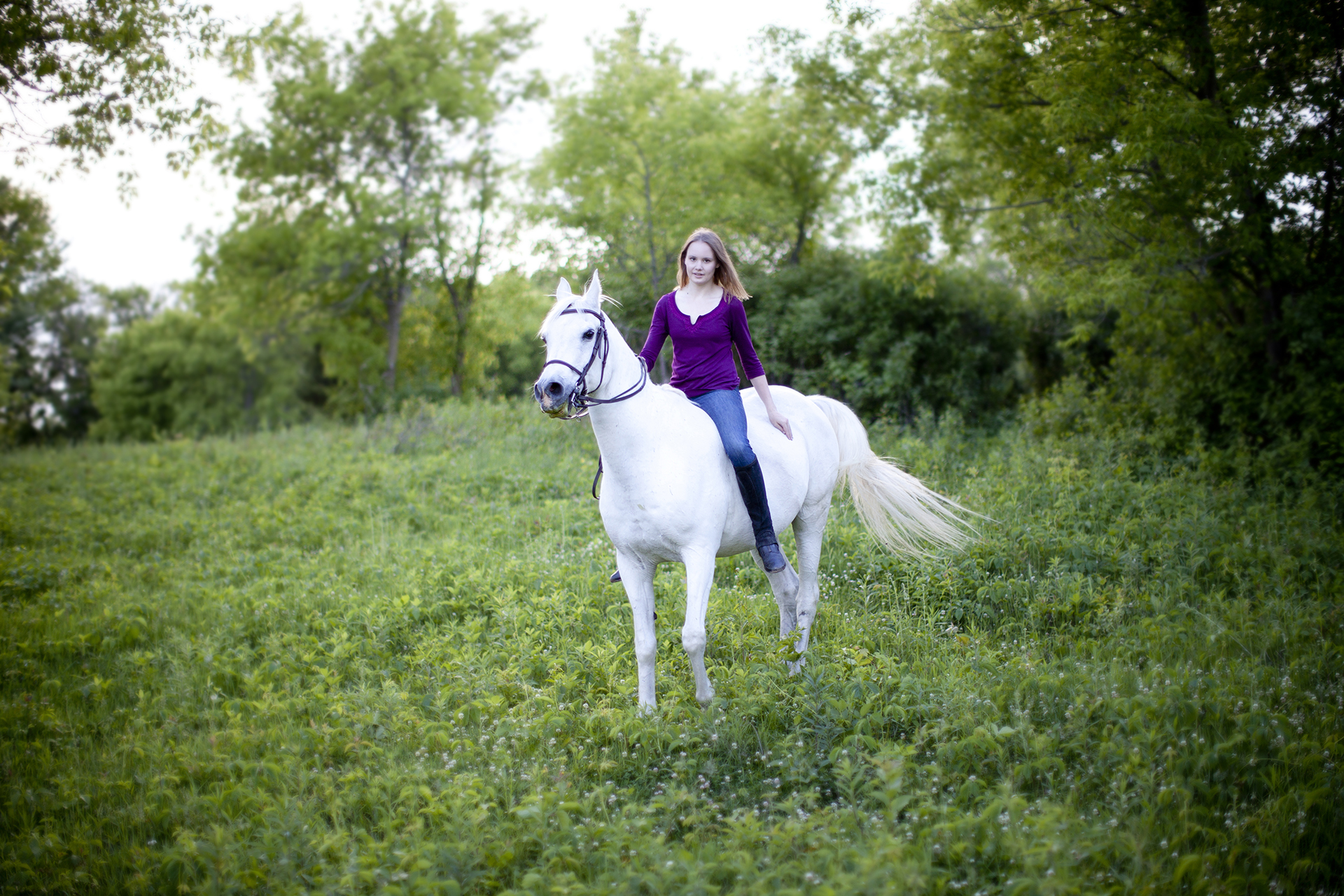 senior portrait on arab horse minnesota